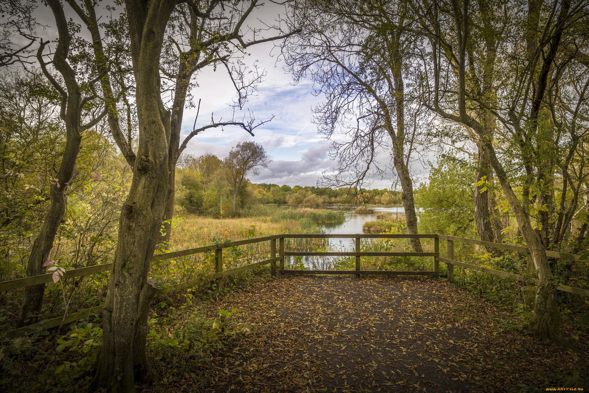 природа, пейзажи, простор