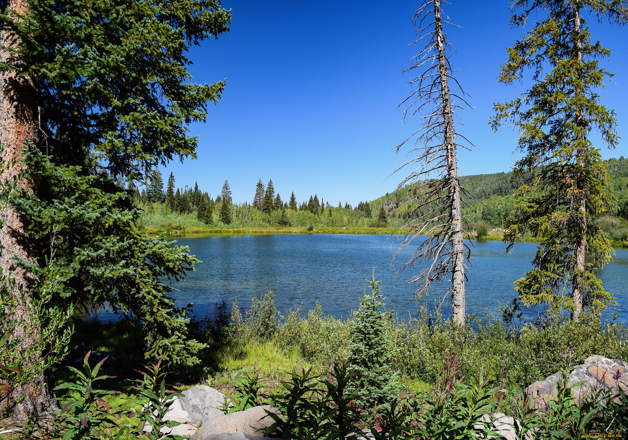 природа, реки, озера, простор