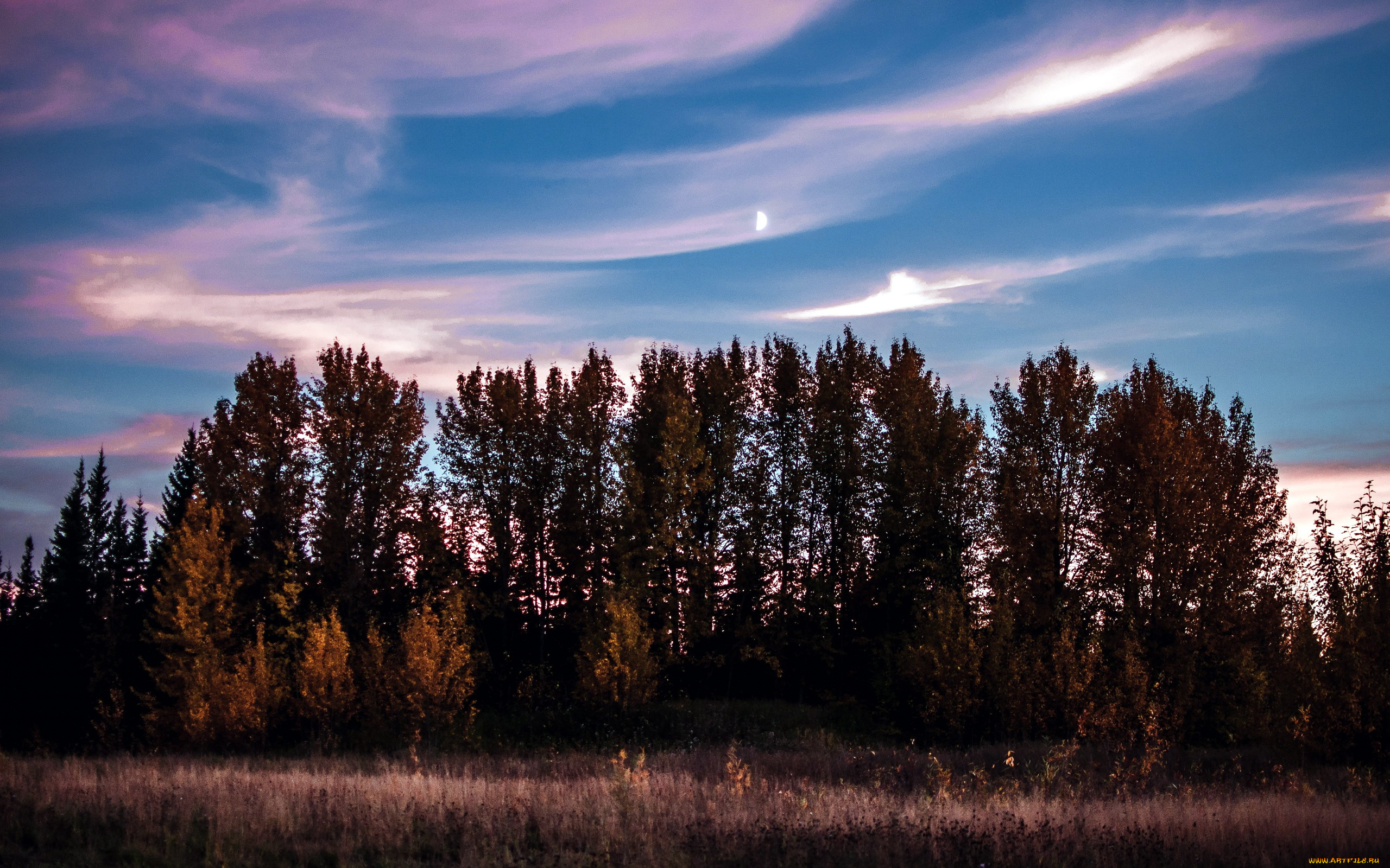 природа, деревья, облака