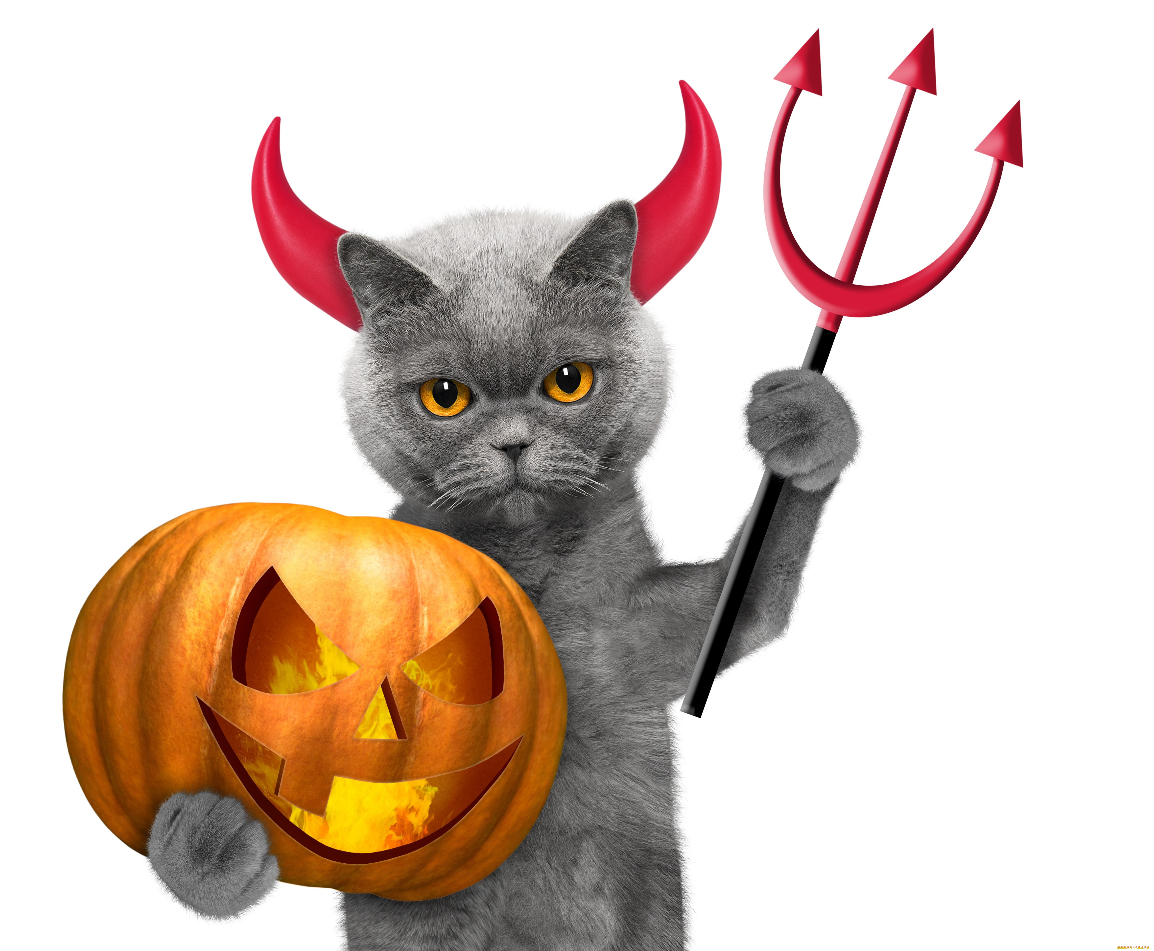 праздничные, хэллоуин, halloween