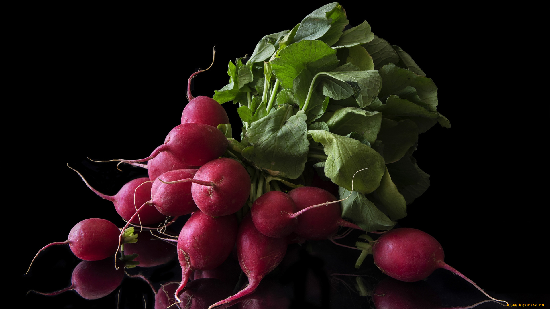 еда, редис, , репа, , редька, снедь