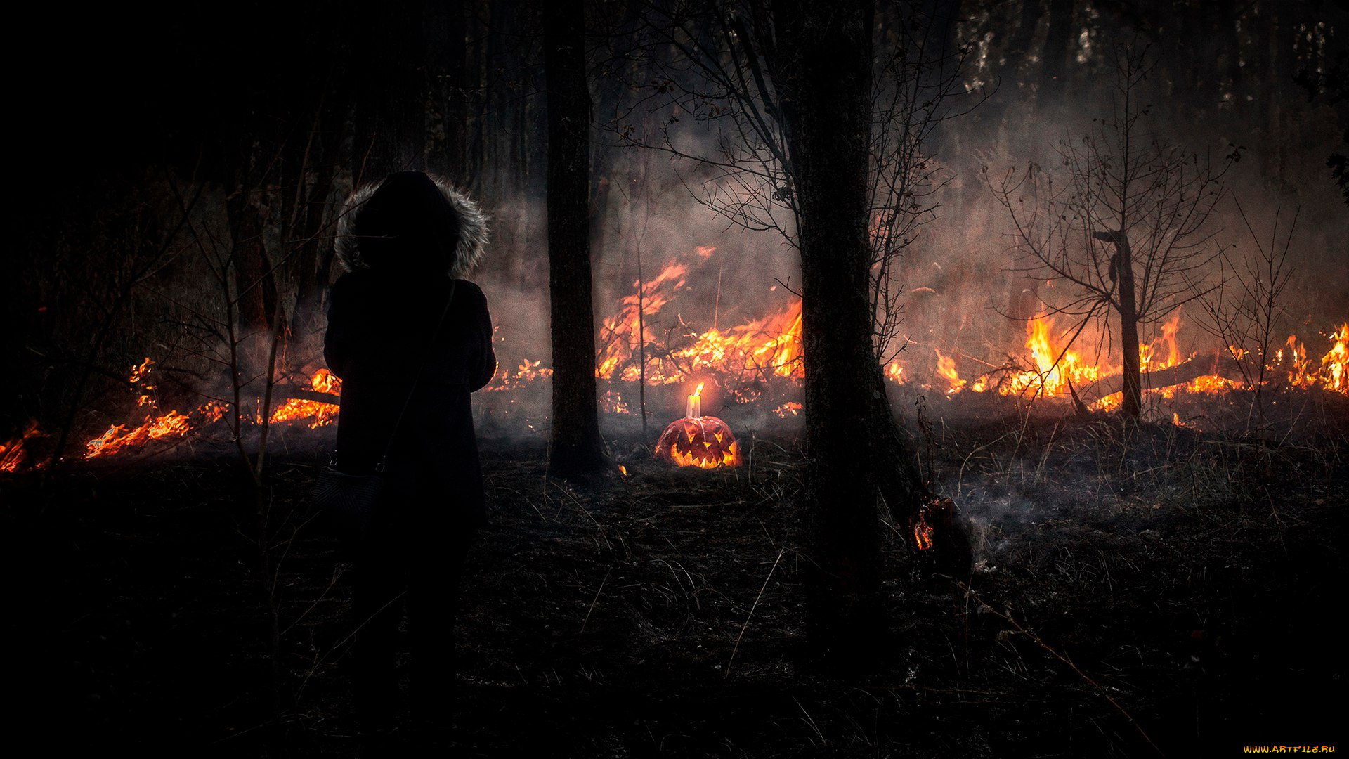 праздничные, хэллоуин, ночь, halloween, огонь, тыква, девушка