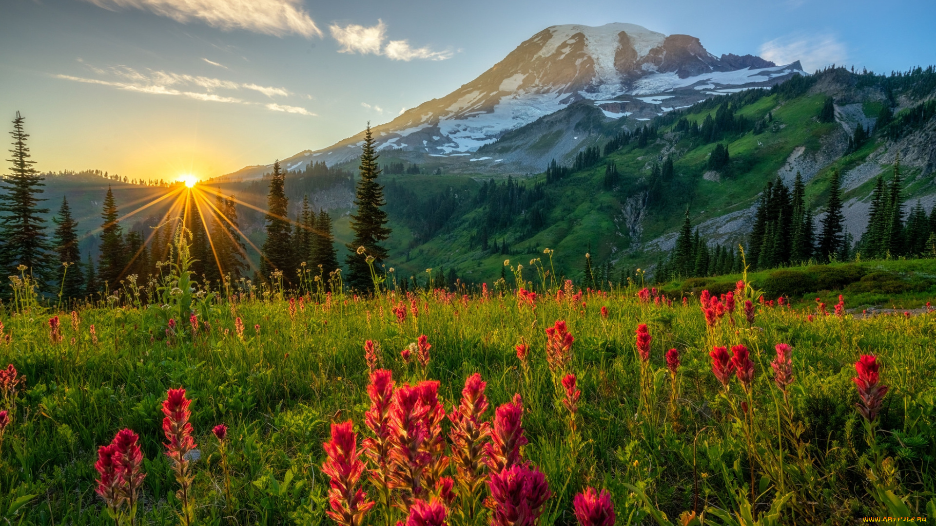 природа, горы, простор