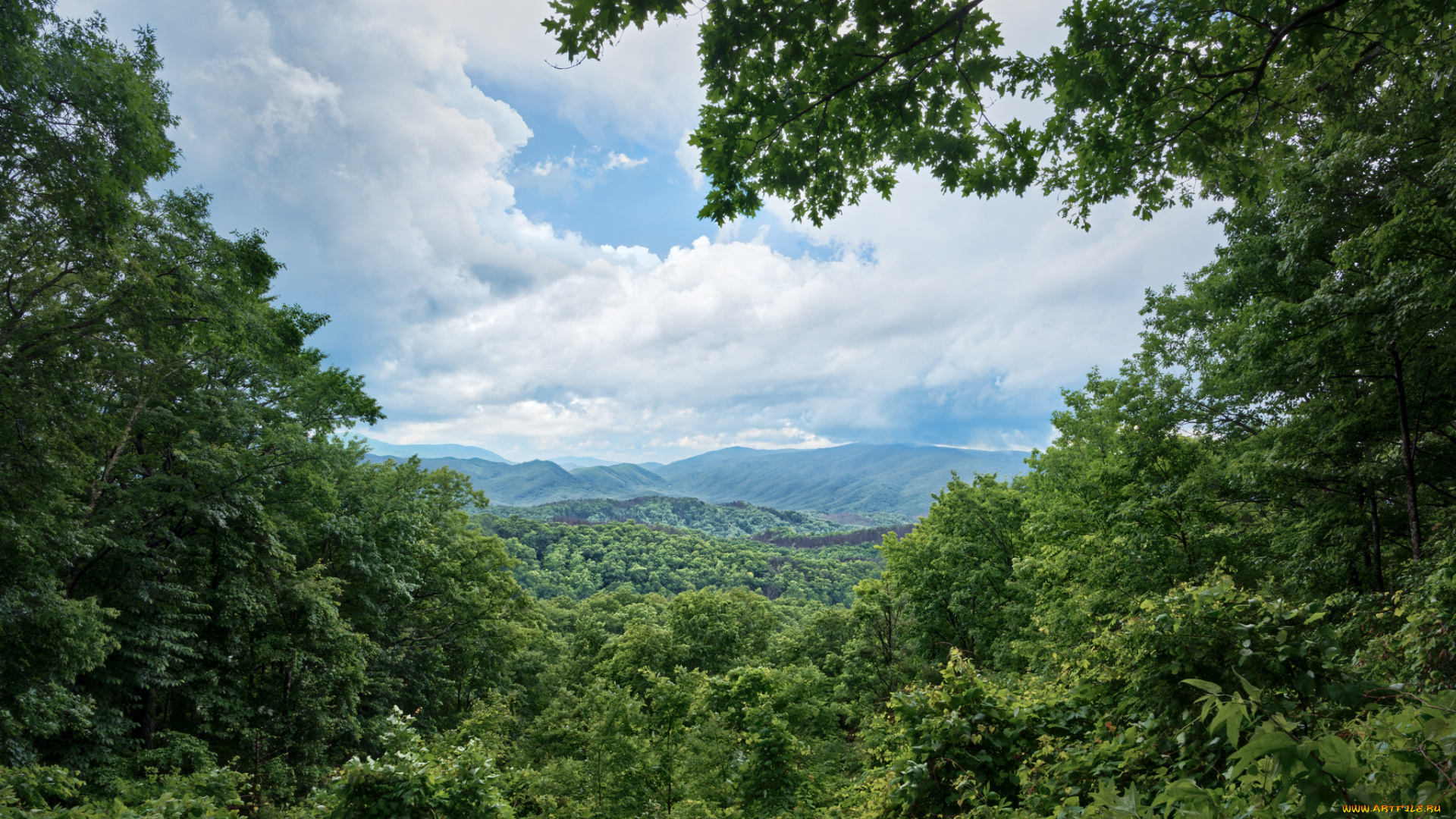 природа, пейзажи, простор