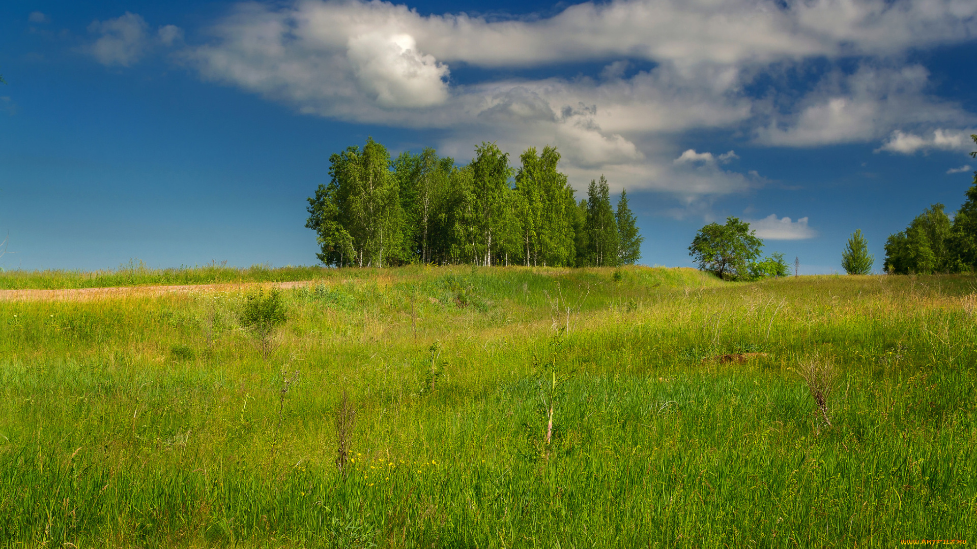 природа, пейзажи, простор