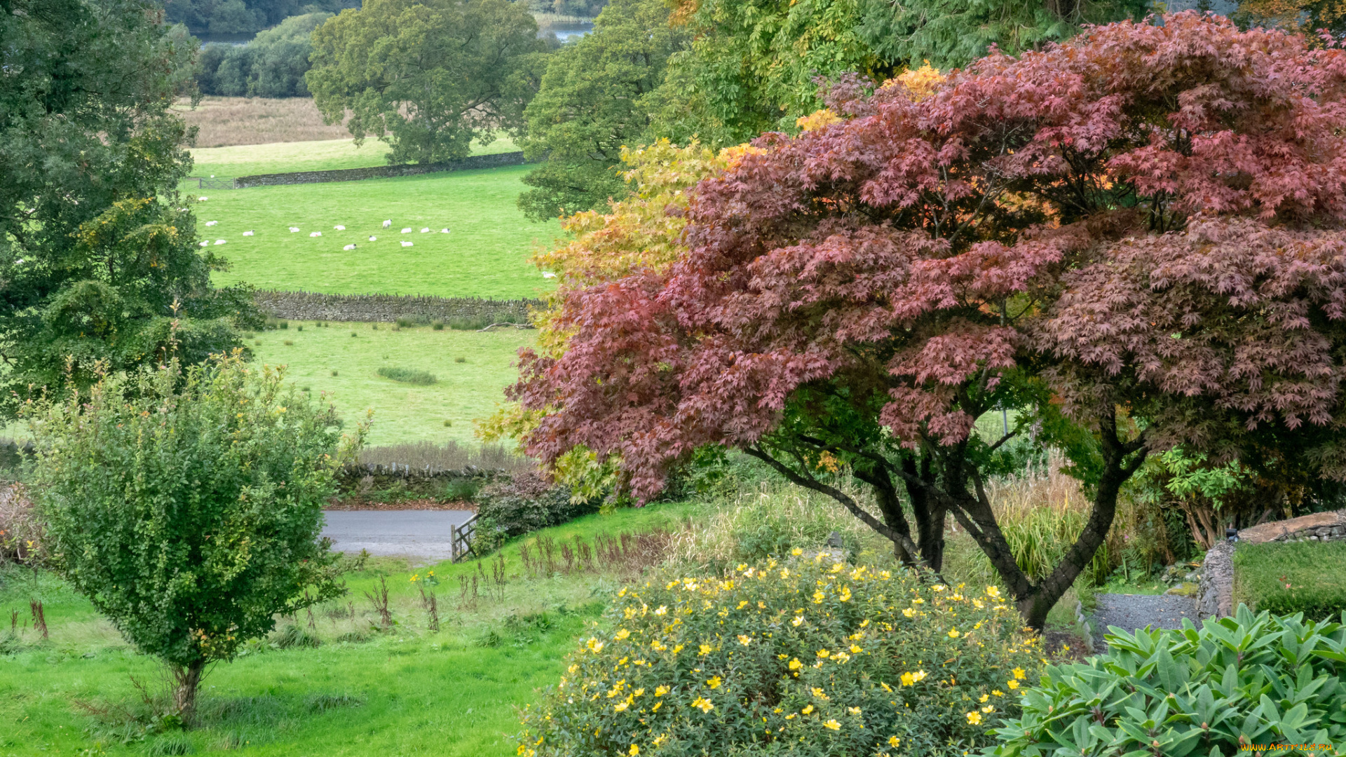 природа, пейзажи, простор
