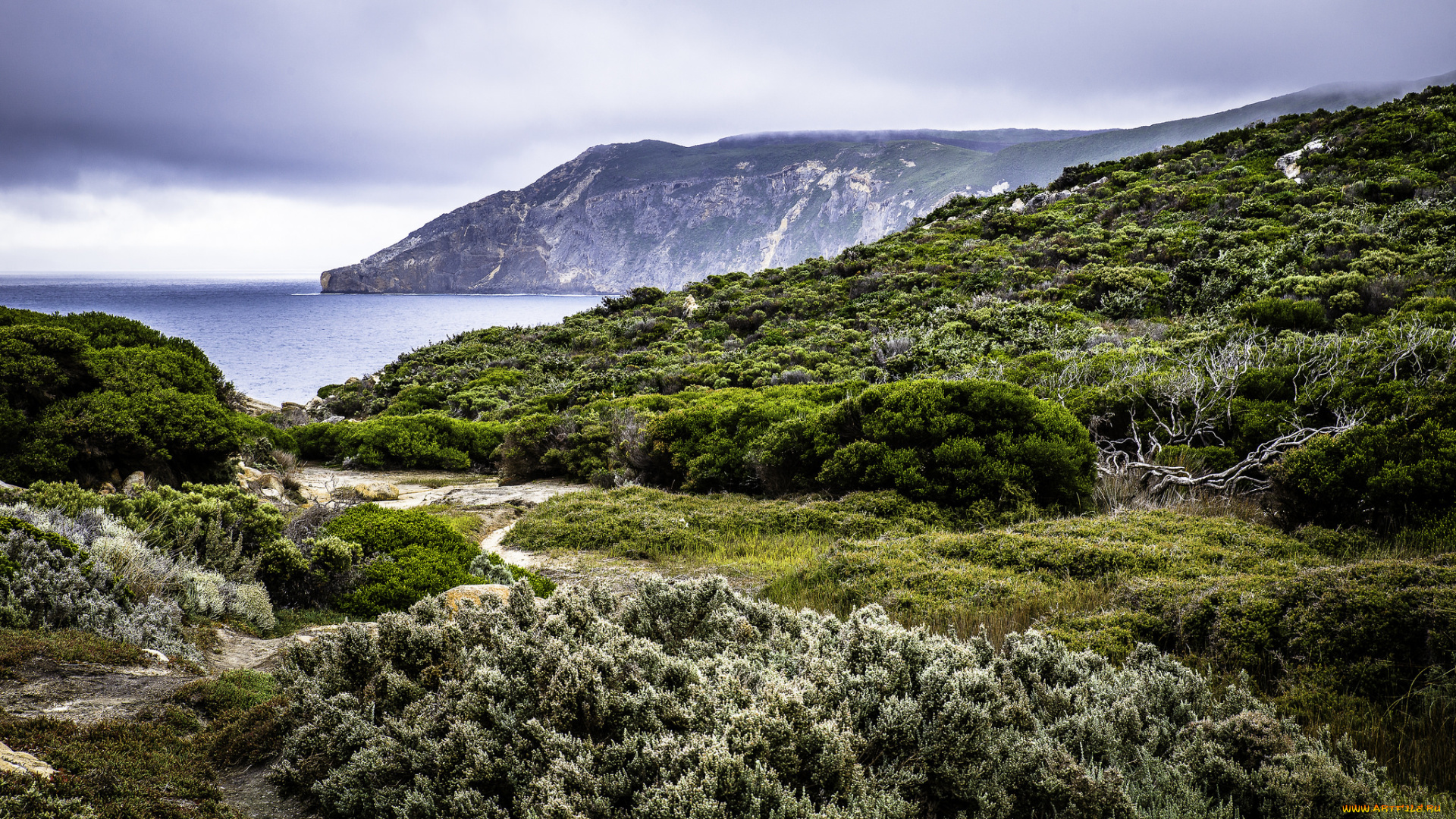 природа, побережье, простор