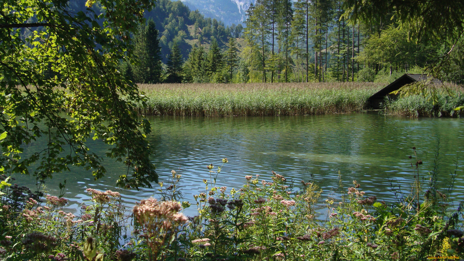 природа, реки, озера, простор