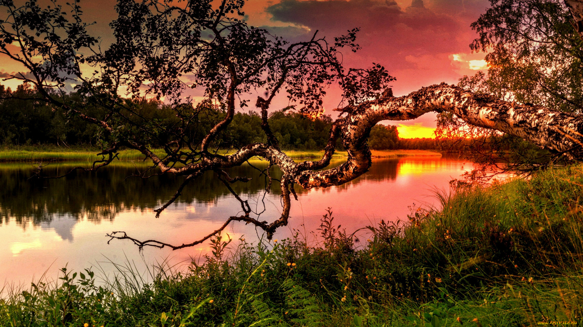 природа, реки, озера, простор