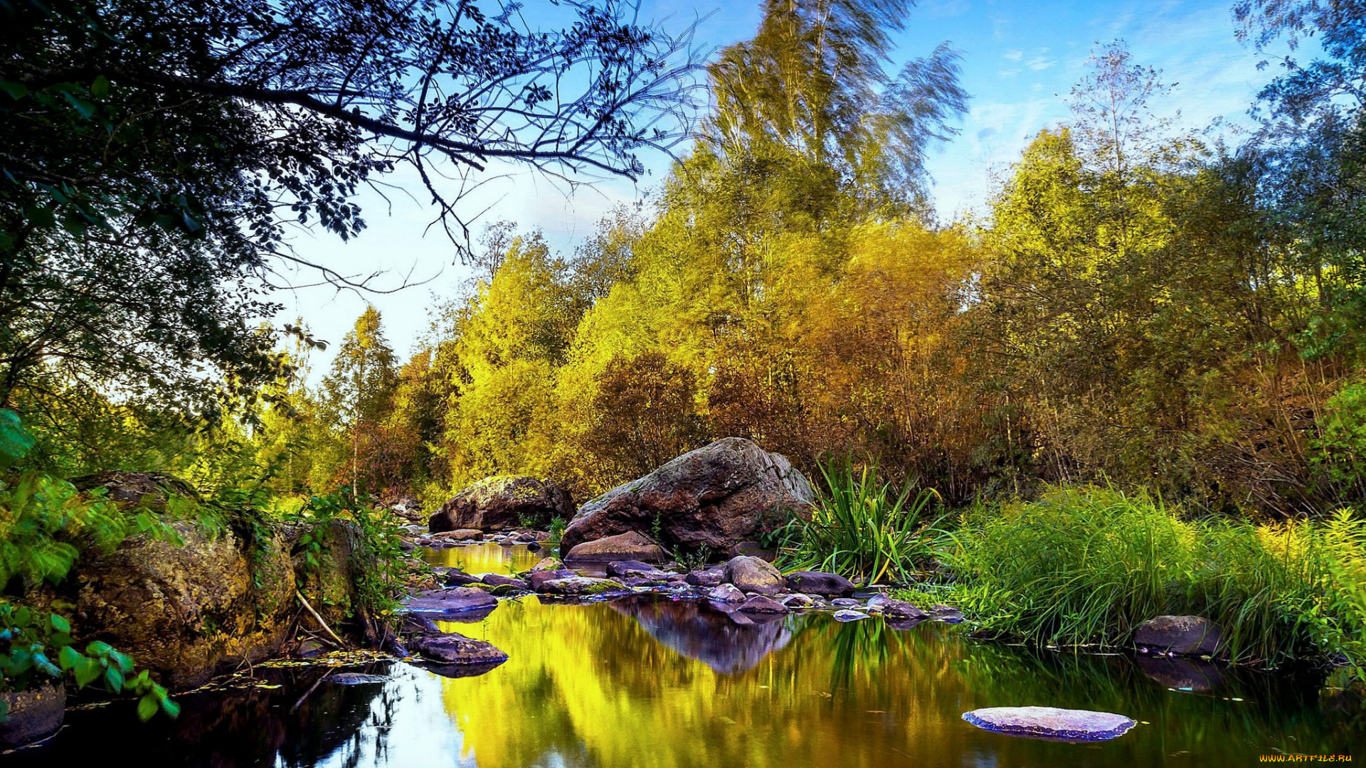 природа, реки, озера, простор