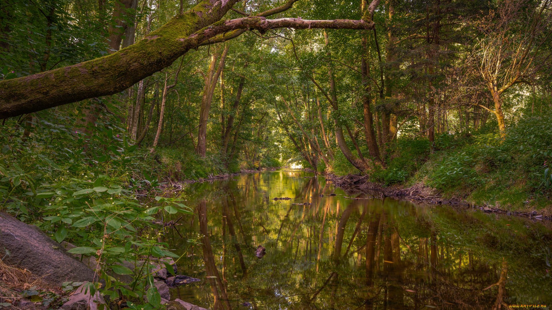 природа, реки, озера, простор