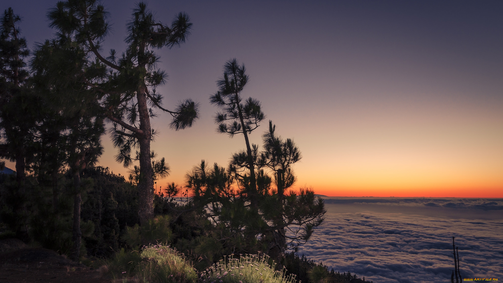 природа, восходы, закаты, простор