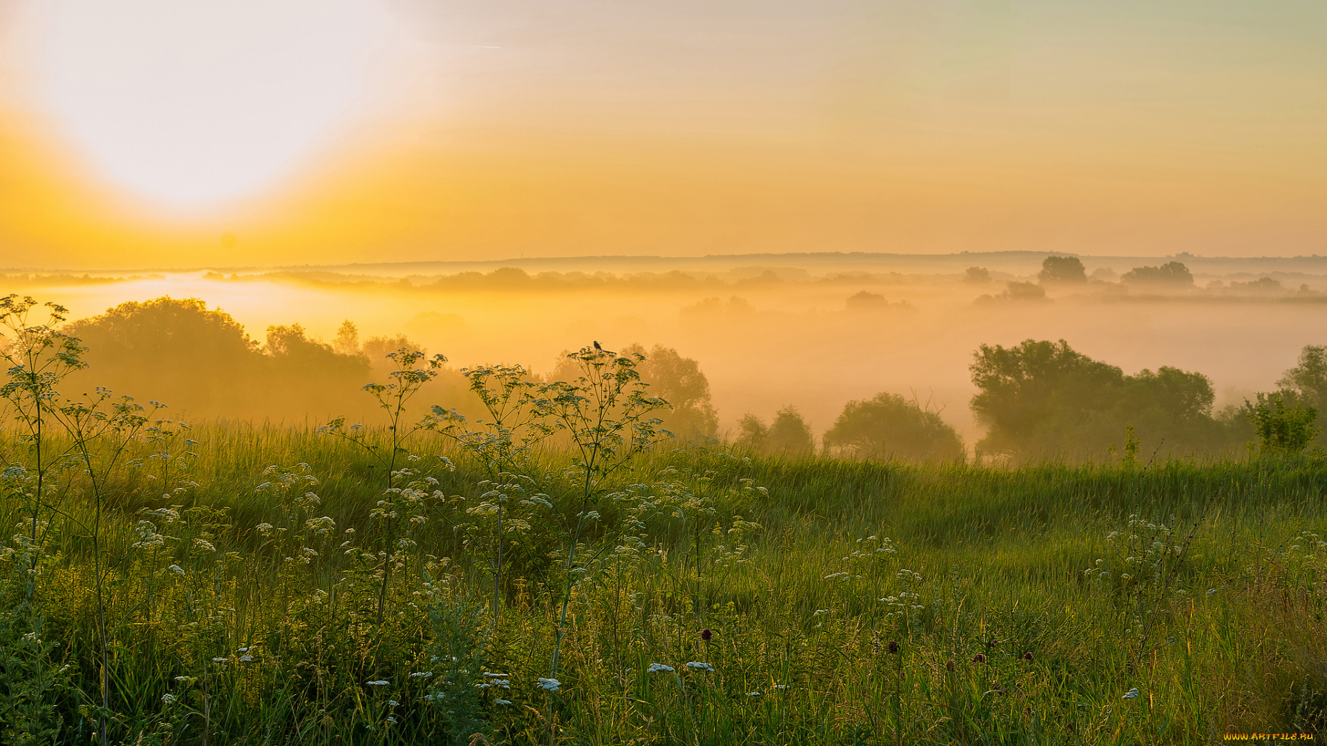 природа, восходы, закаты, простор