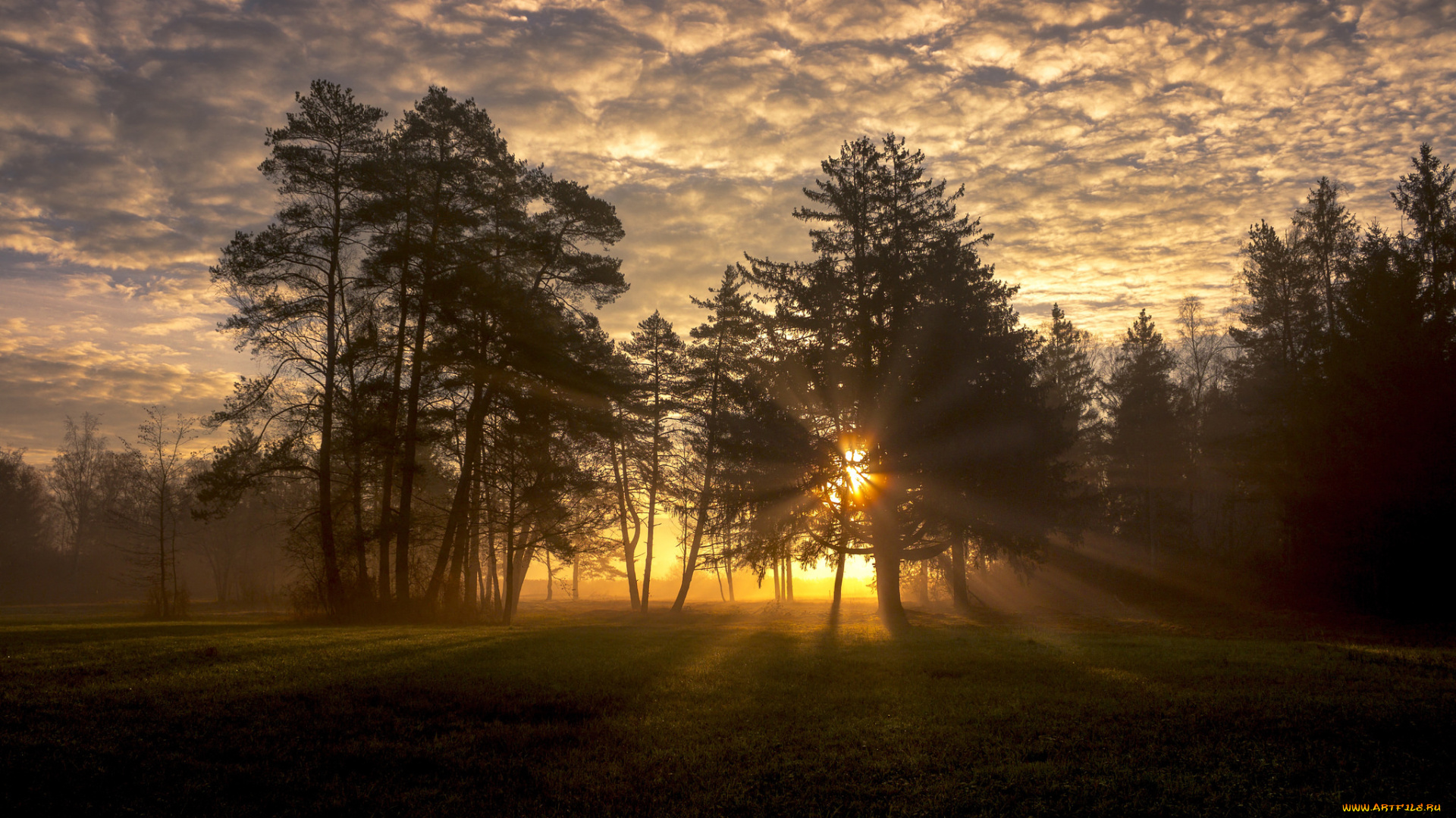 природа, восходы, закаты, простор