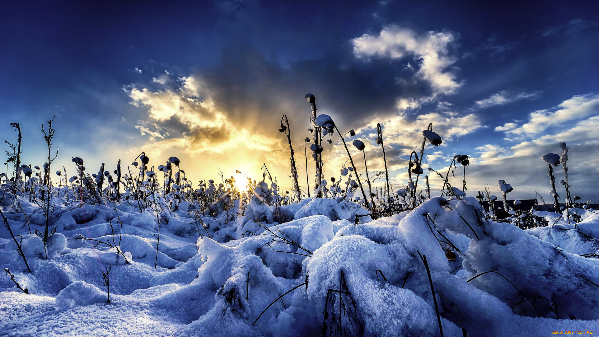 природа, зима, простор