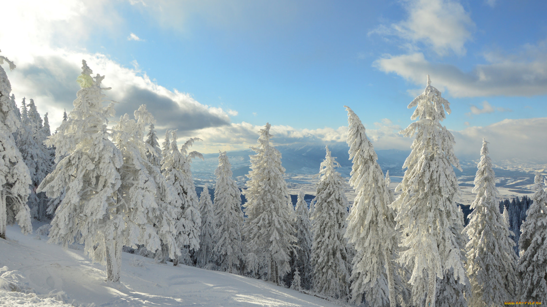 природа, зима, простор