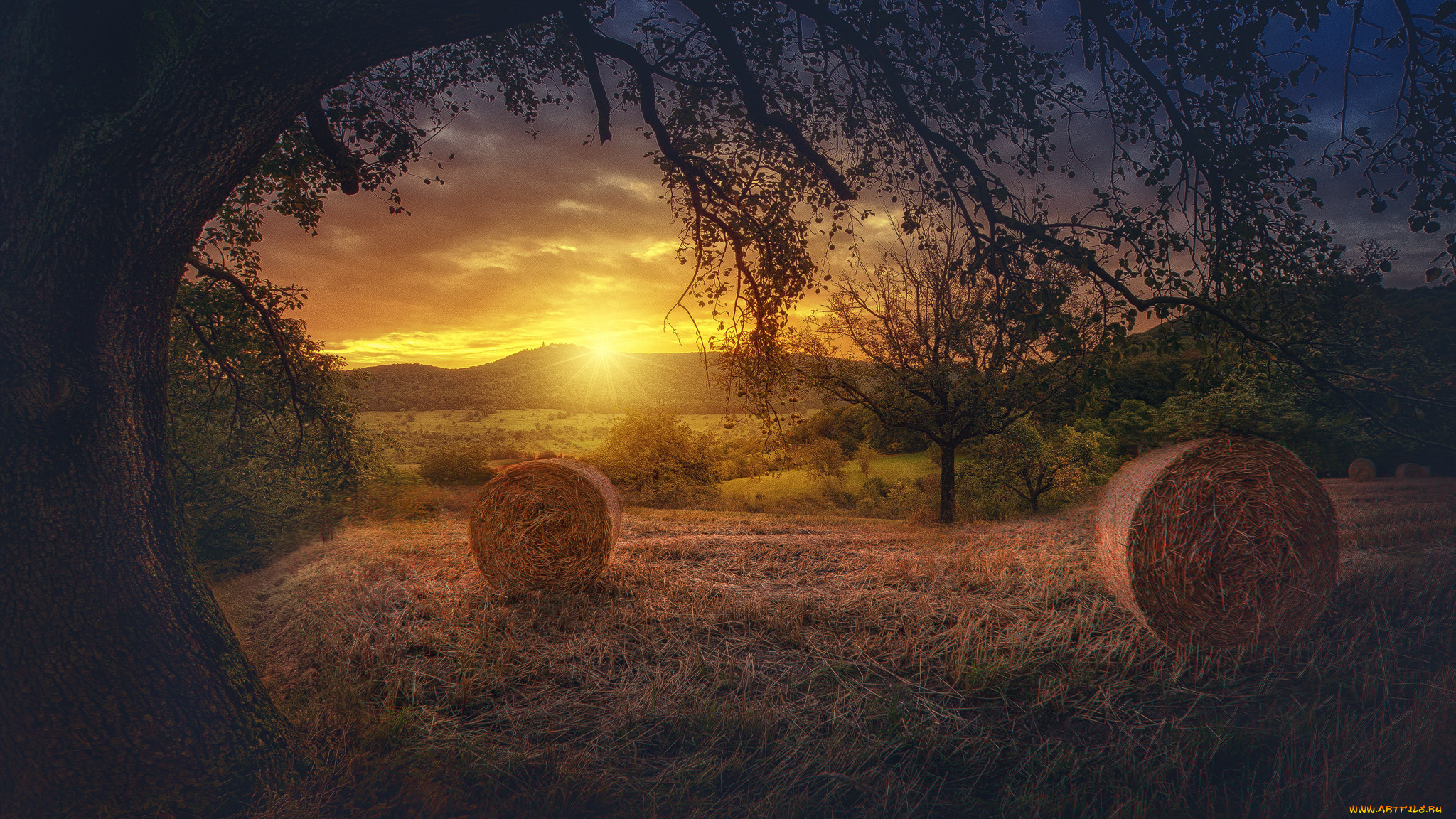 природа, восходы, закаты, простор