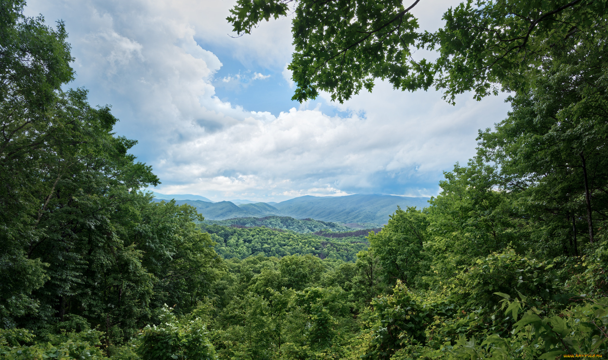 природа, пейзажи, простор