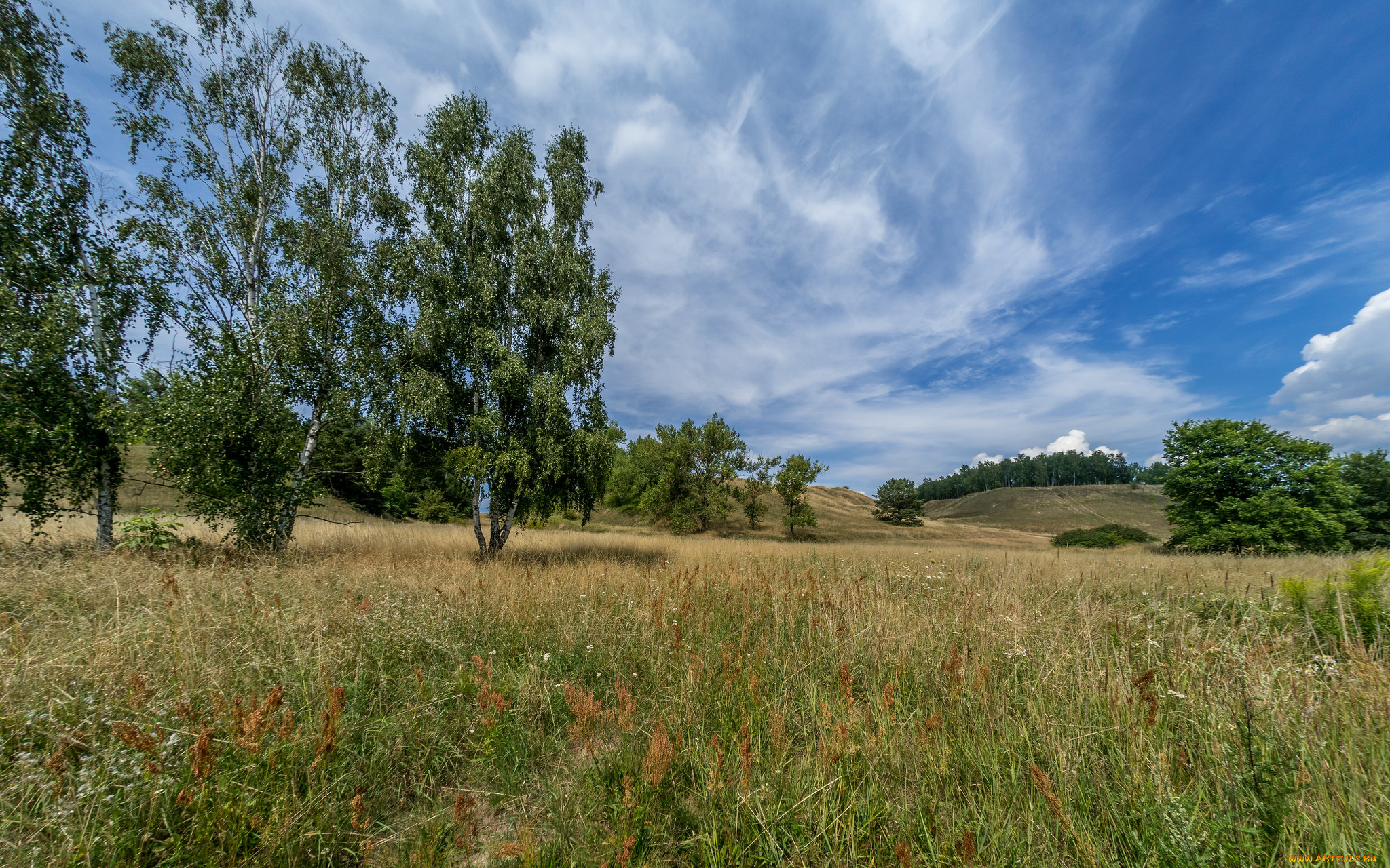 природа, пейзажи, простор