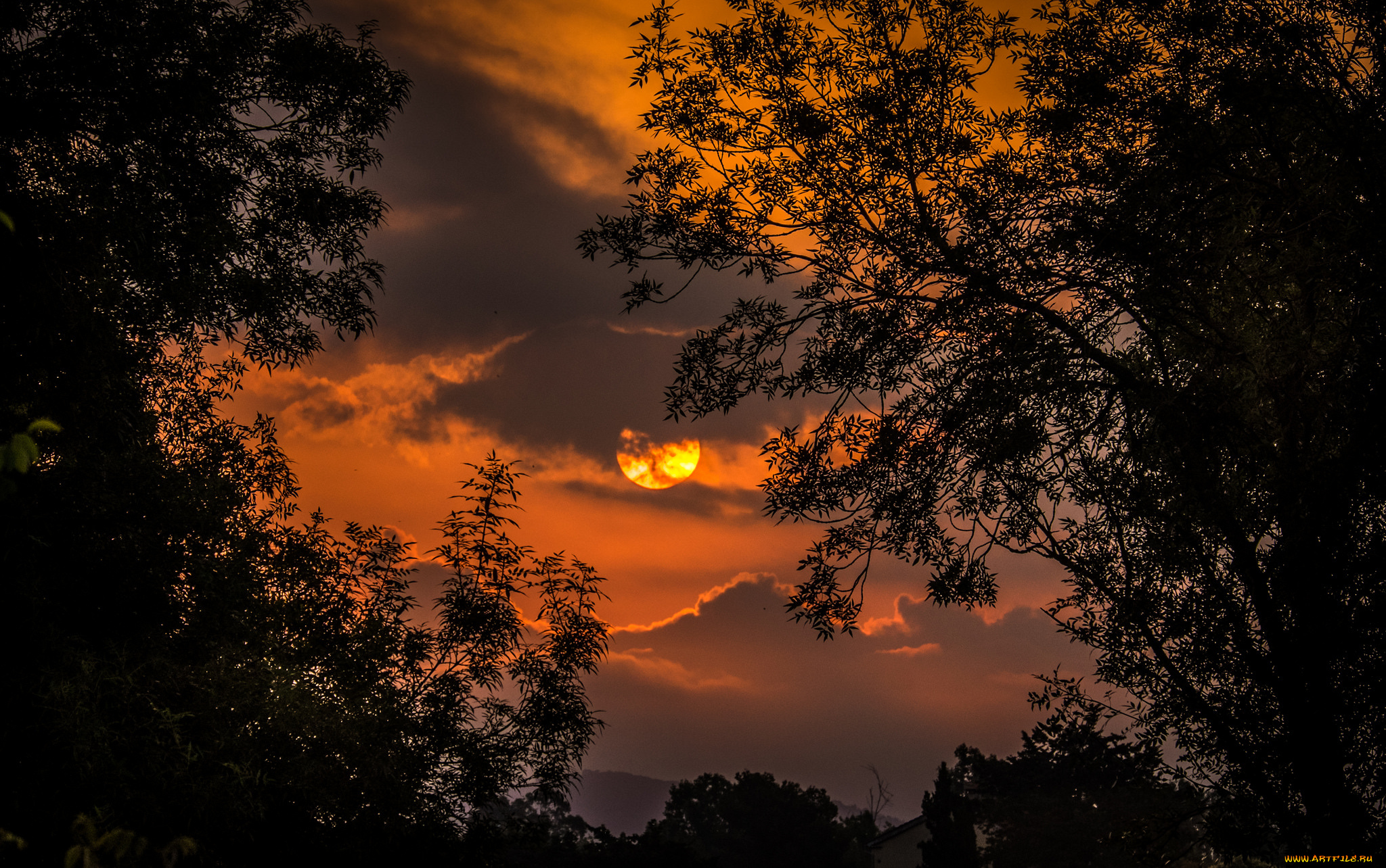 природа, восходы, закаты, простор