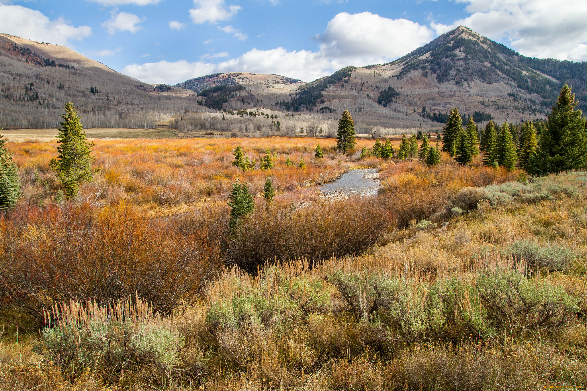 природа, пейзажи, простор