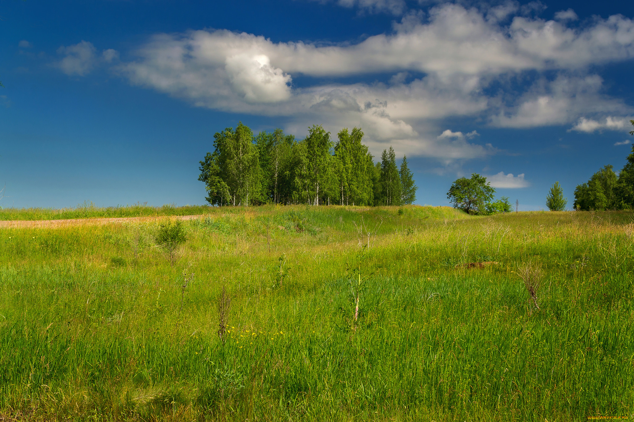 природа, пейзажи, простор