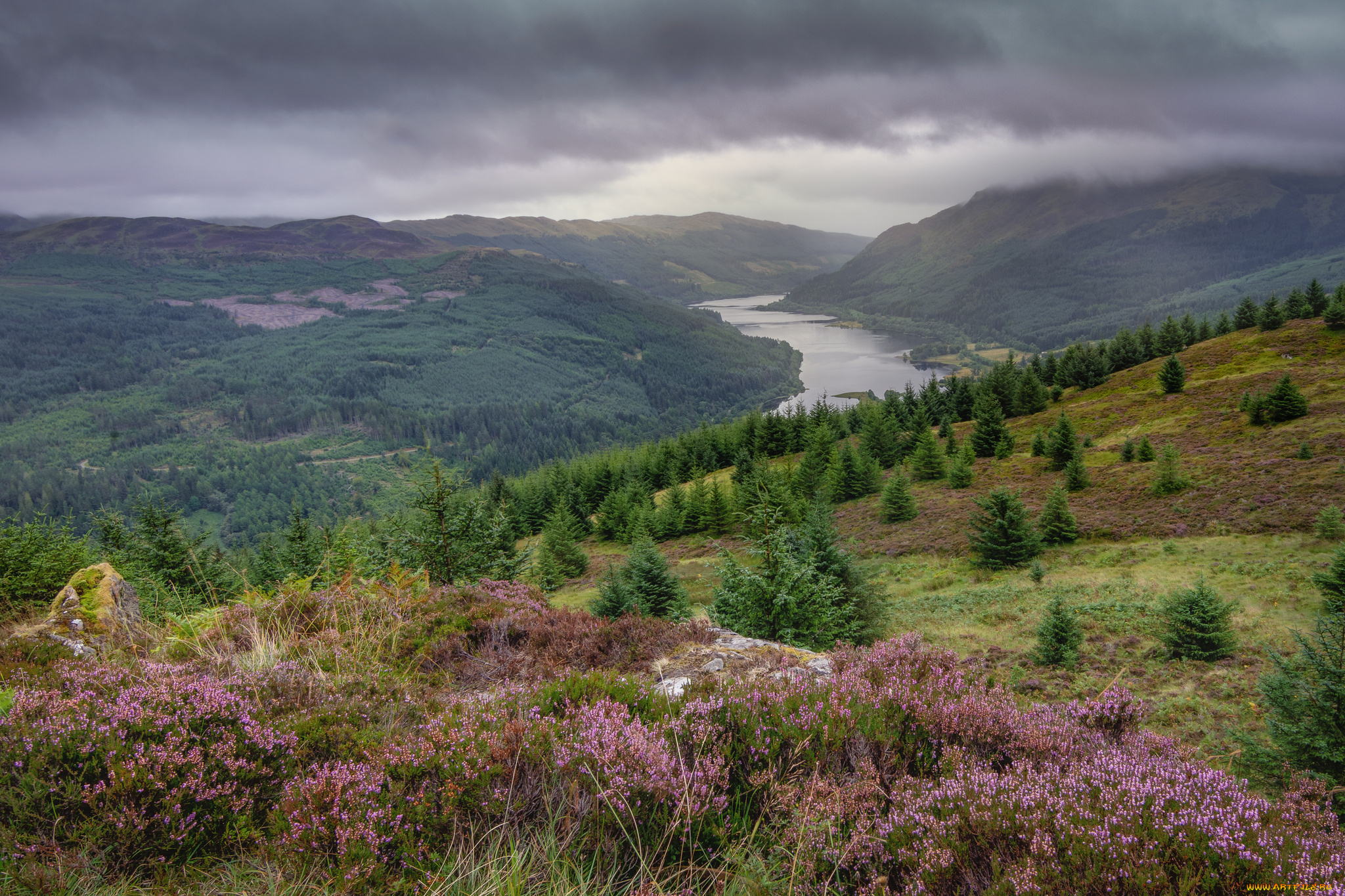 природа, пейзажи, простор