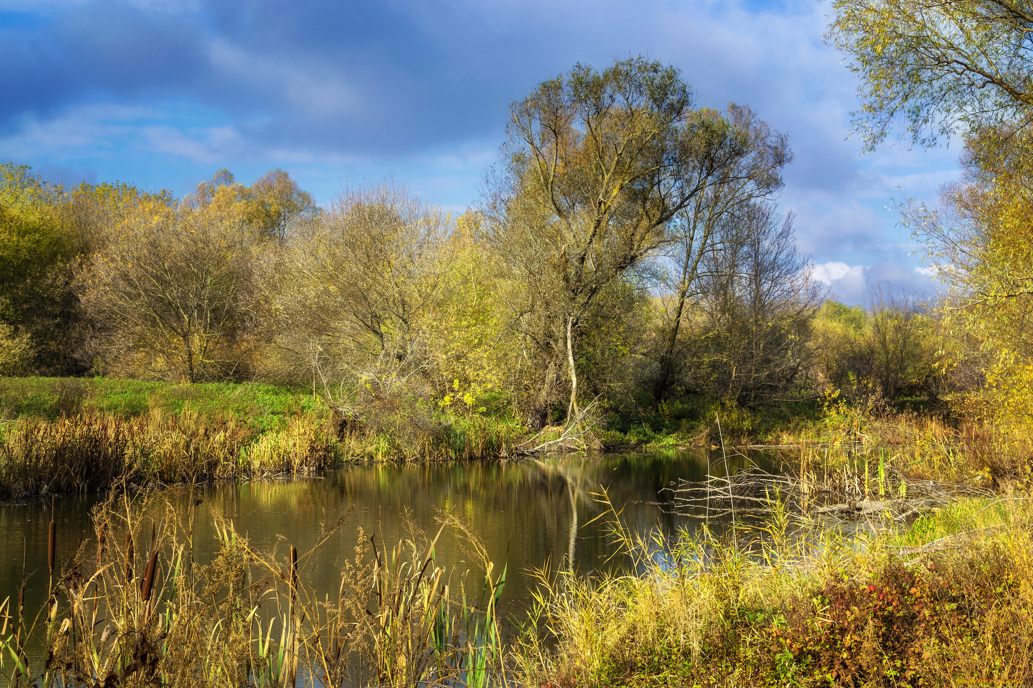 природа, реки, озера, простор