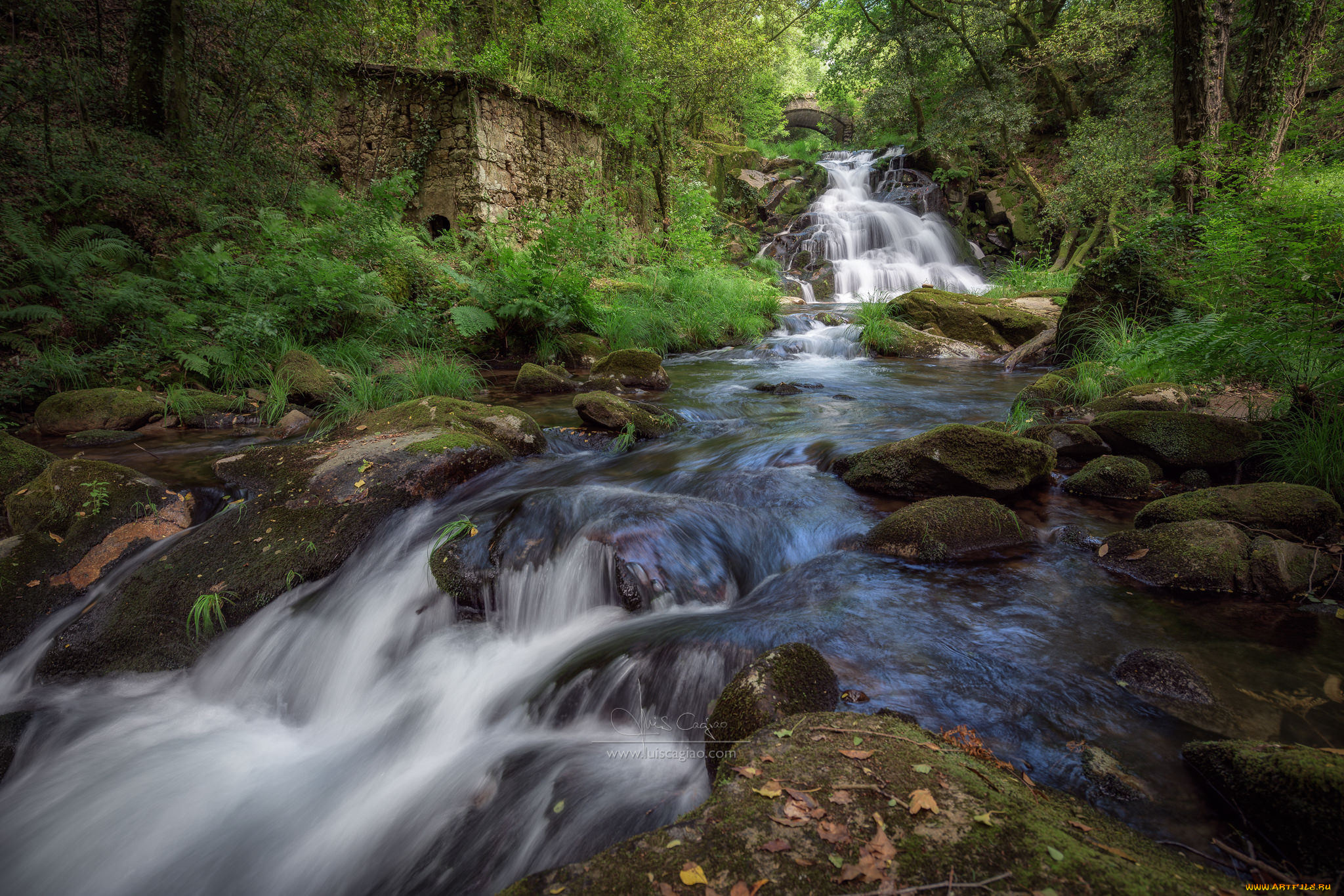 природа, реки, озера, простор