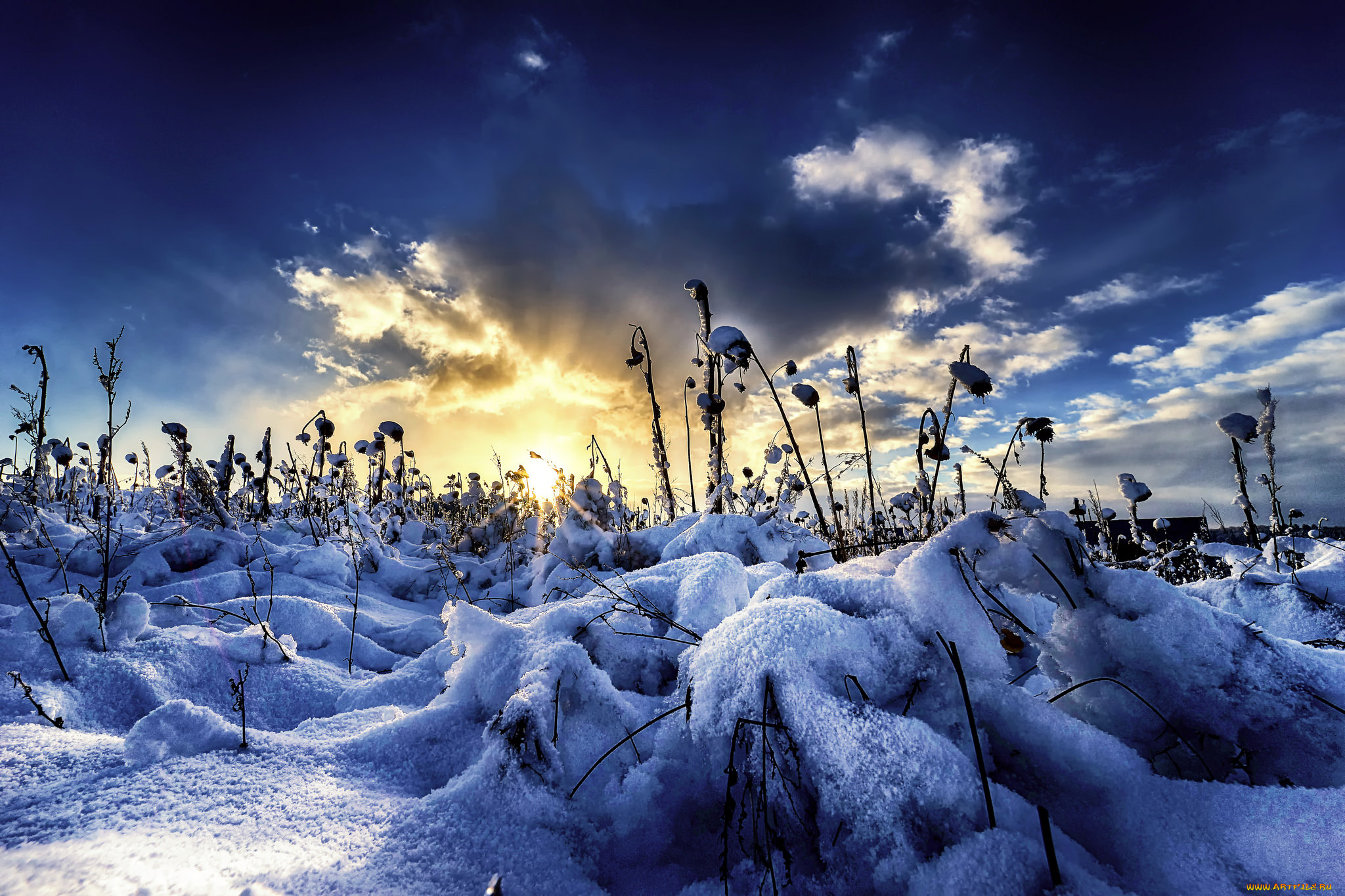 природа, зима, простор