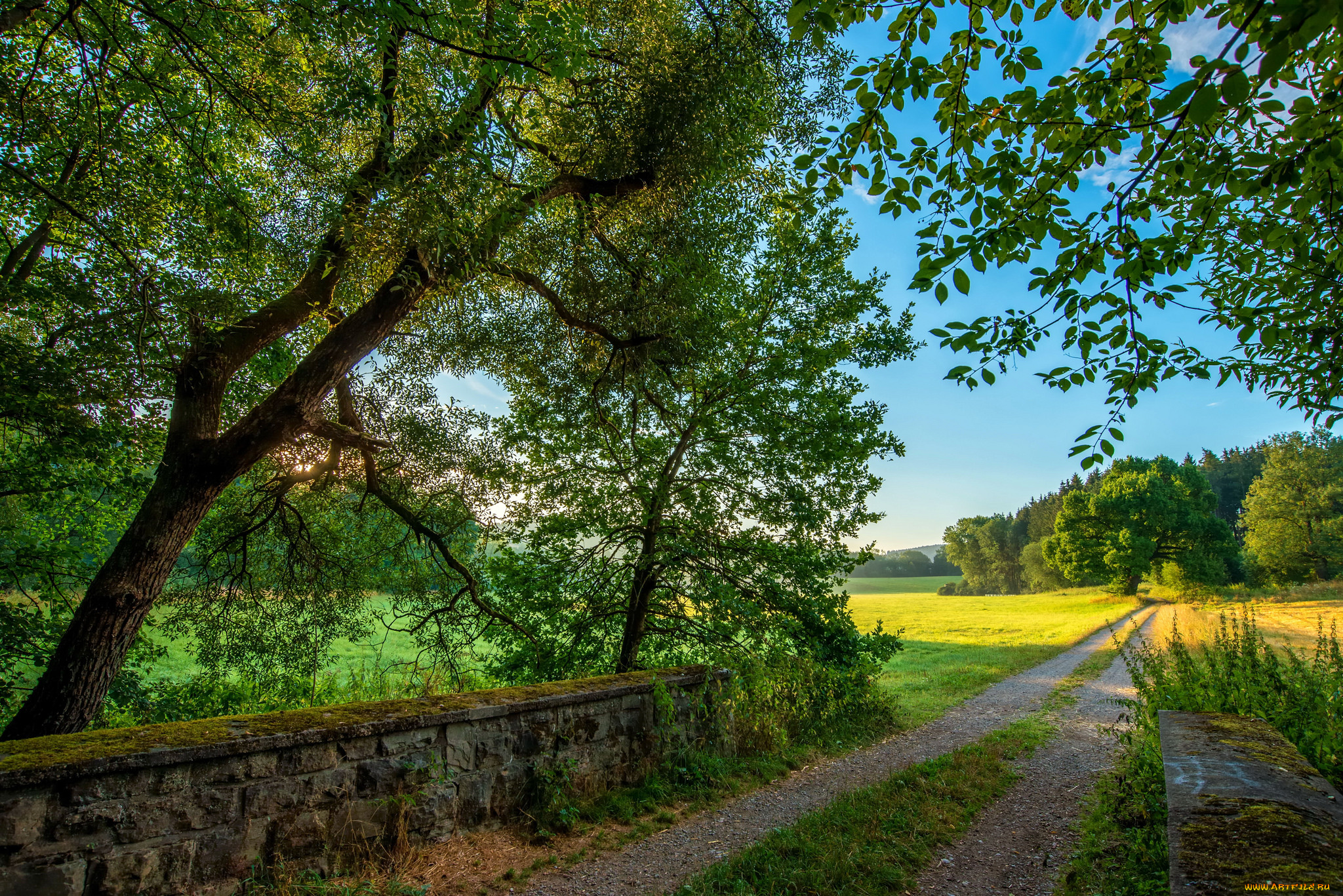 природа, дороги, простор