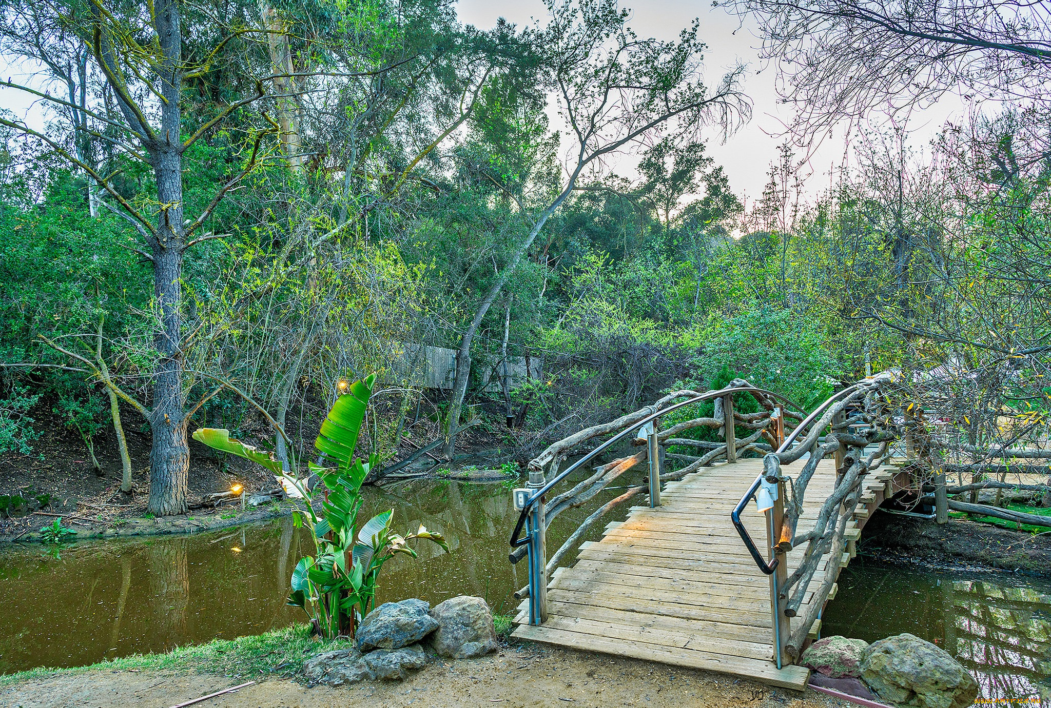 природа, реки, озера, простор