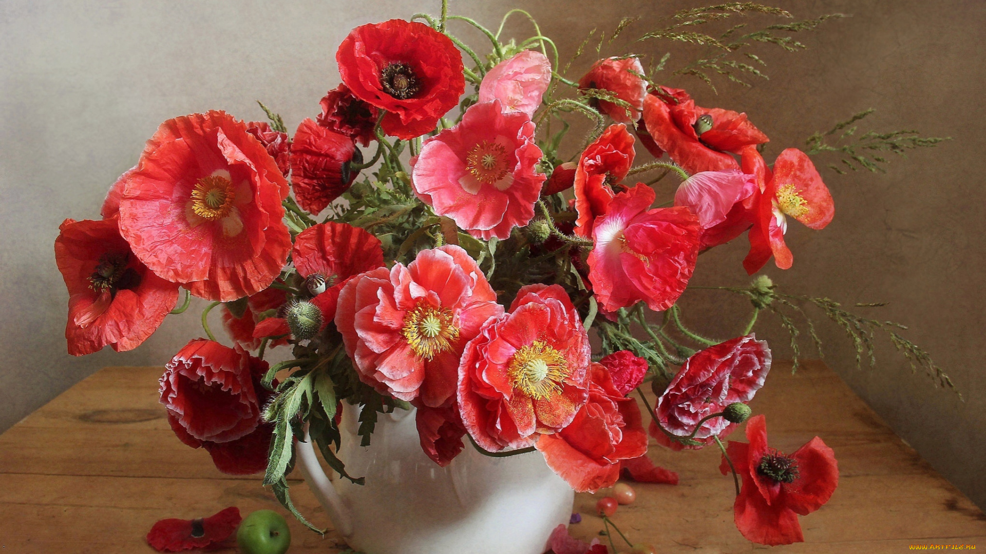 цветы, маки, ваза, букет
