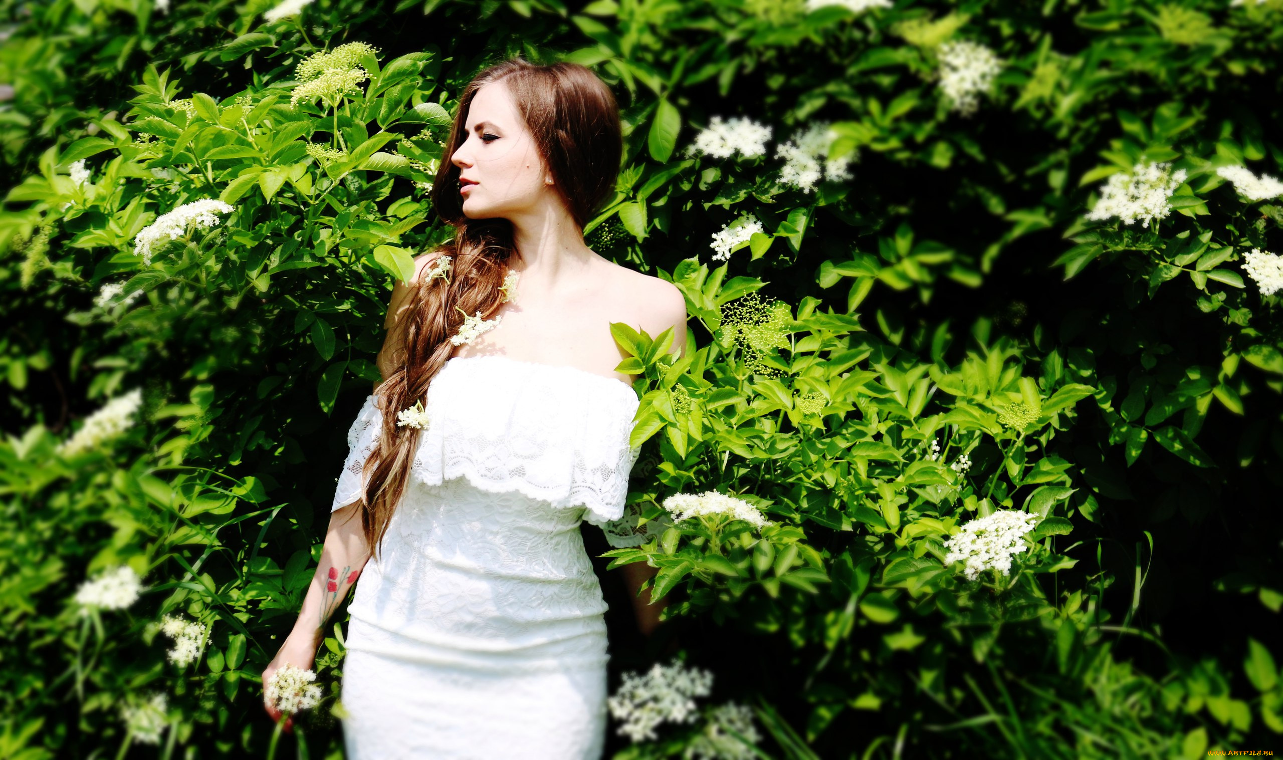 девушки, людмила, насонова, людмила, насонова