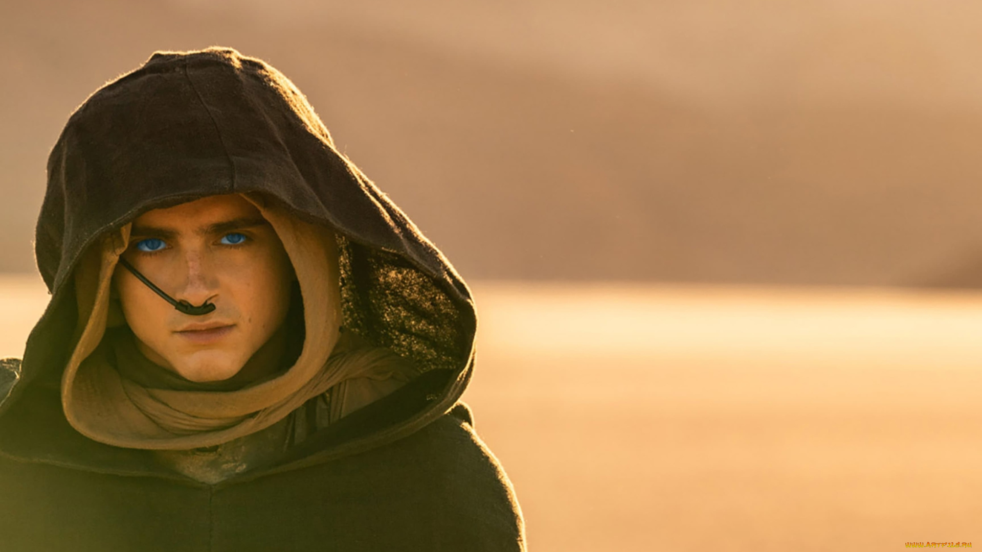 кино, фильмы, dune, , part, two, timothee, chalamet