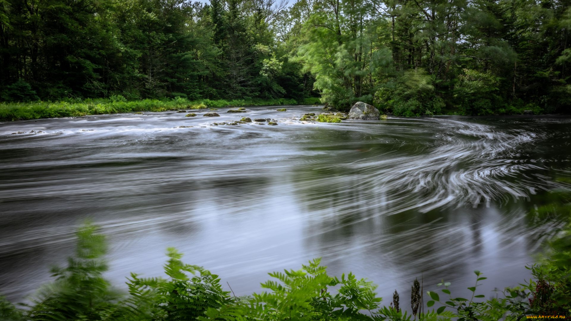 tusket, river, nova, scotia, природа, реки, озера, tusket, river, nova, scotia