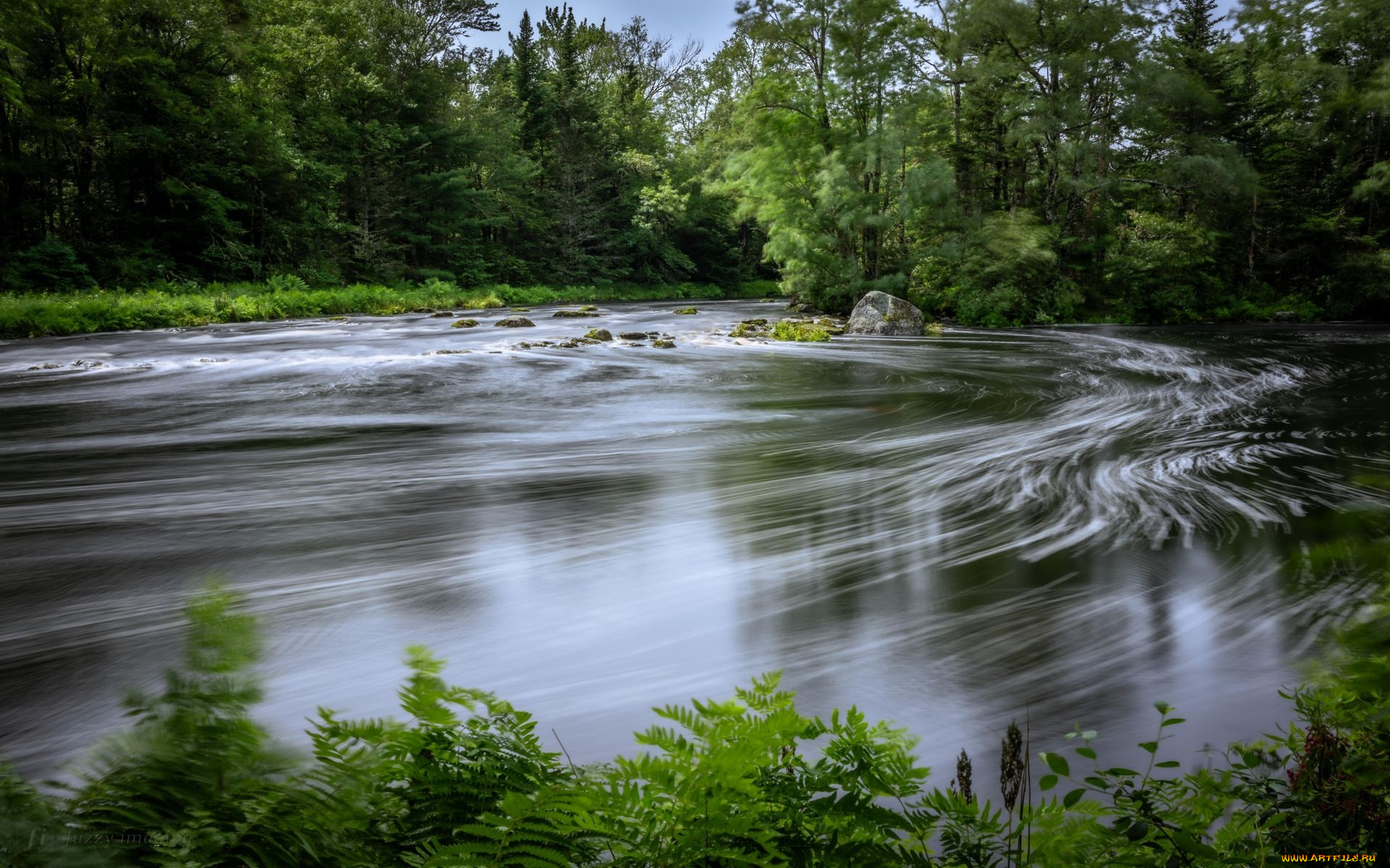 tusket, river, nova, scotia, природа, реки, озера, tusket, river, nova, scotia