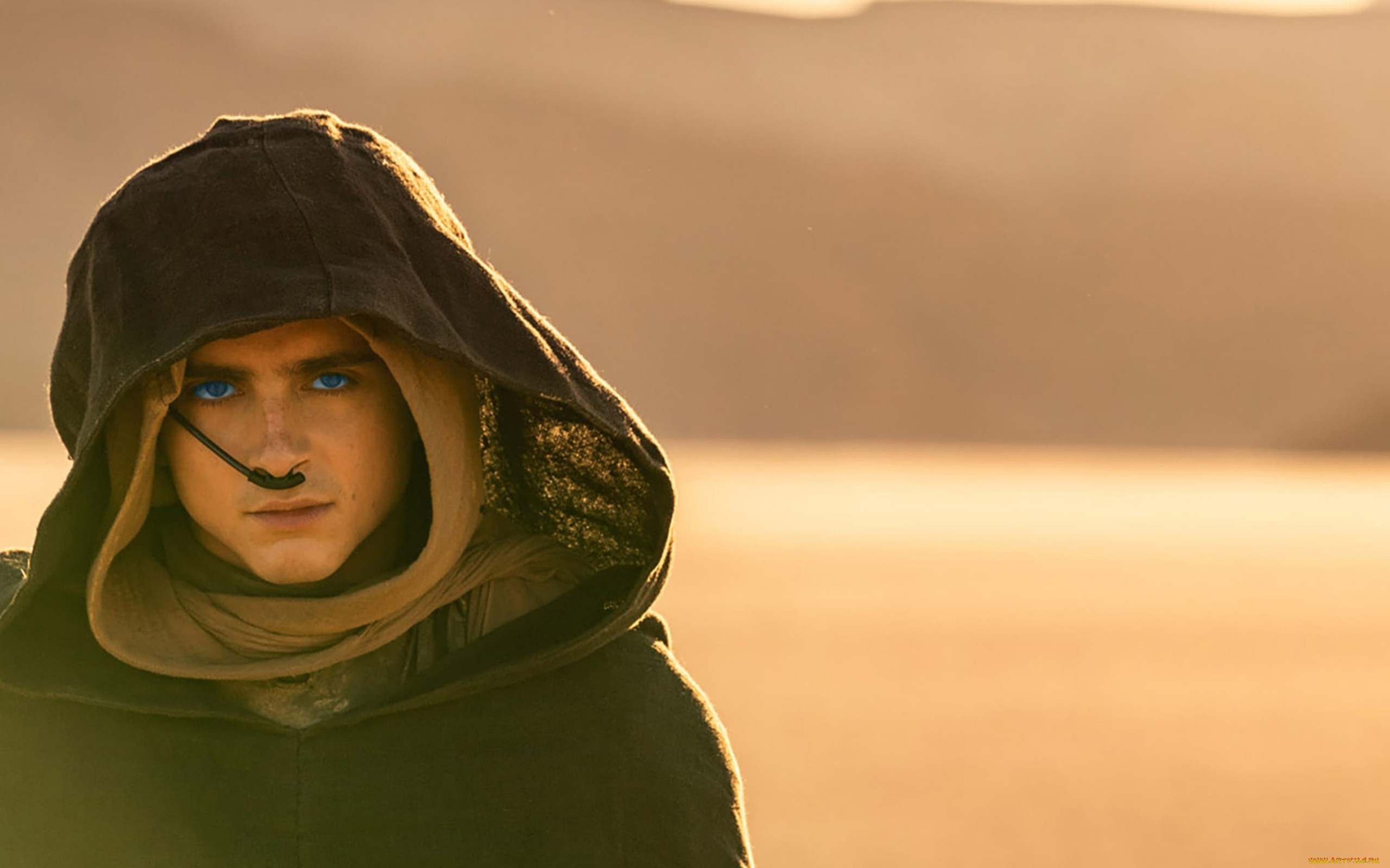 кино, фильмы, dune, , part, two, timothee, chalamet