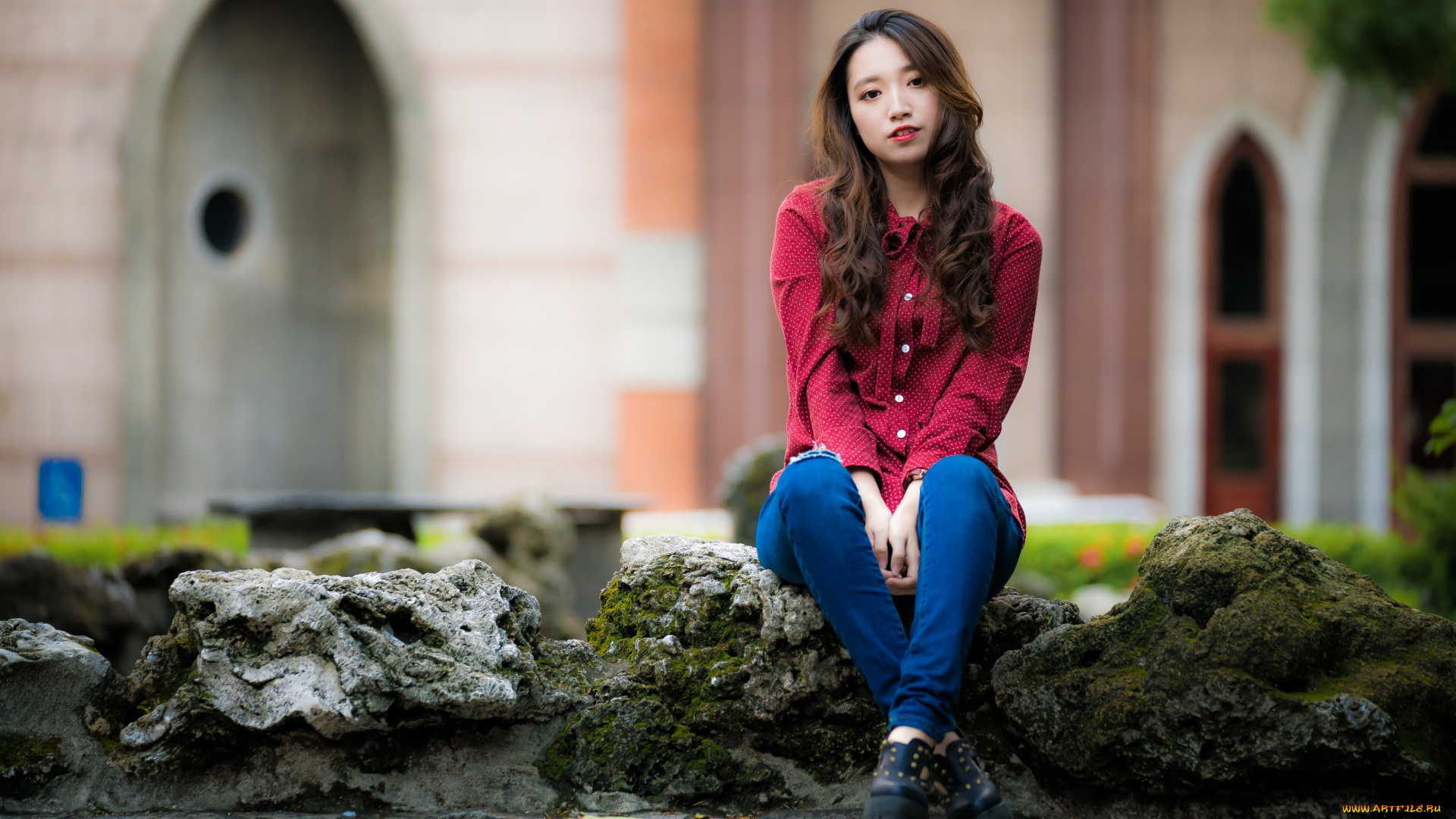 девушки, -, азиатки, девушка