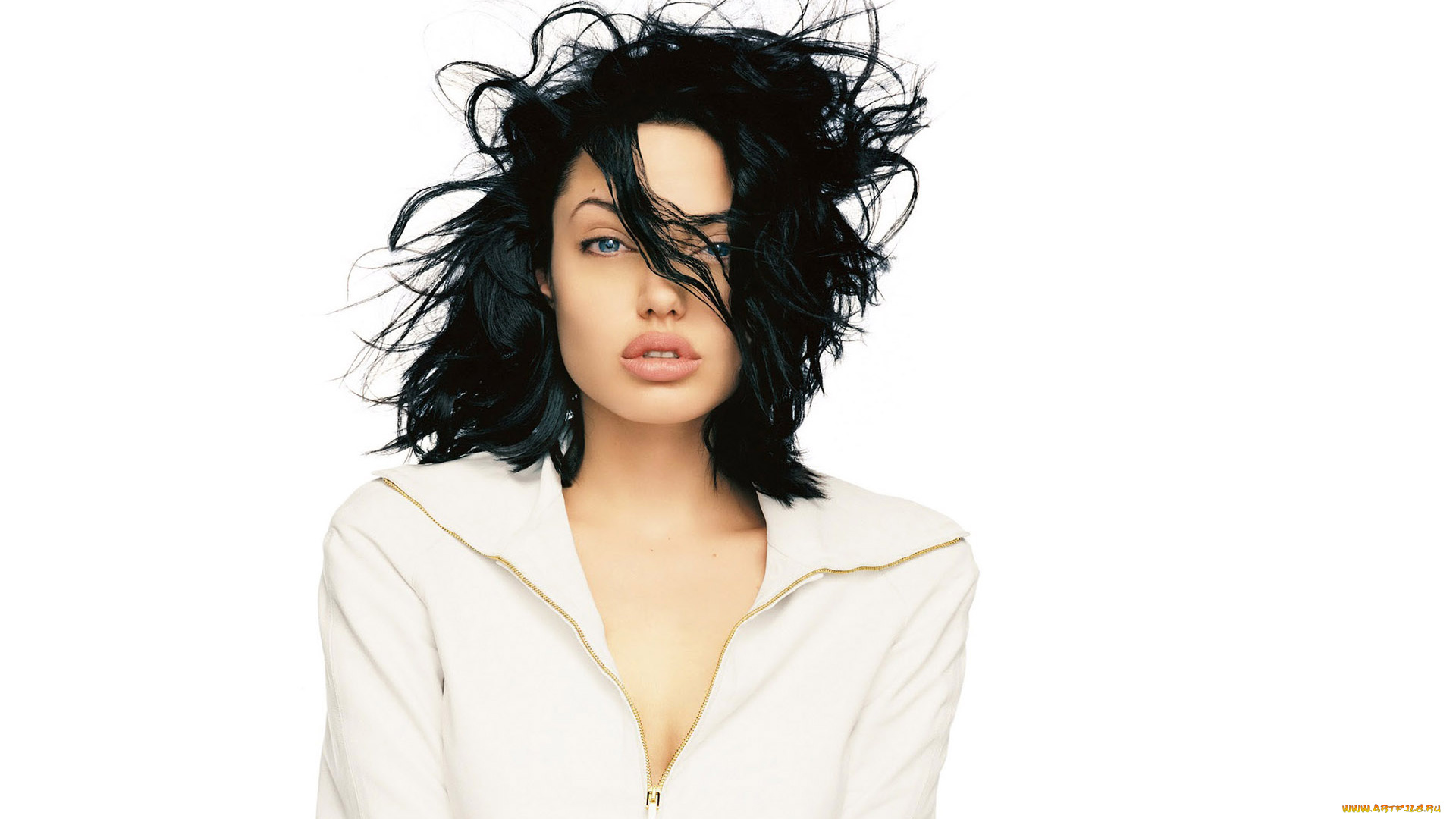 девушки, angelina, jolie, актриса, брюнетка, лицо