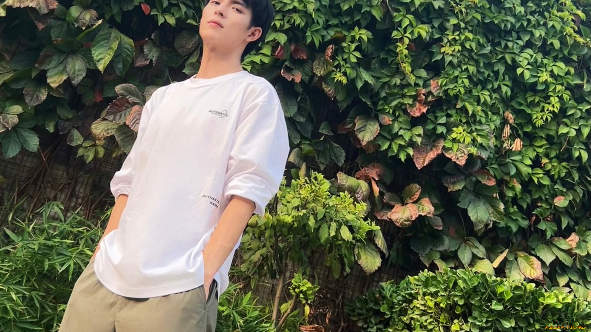 мужчины, wang, hao, xuan, ван, хао, сюань