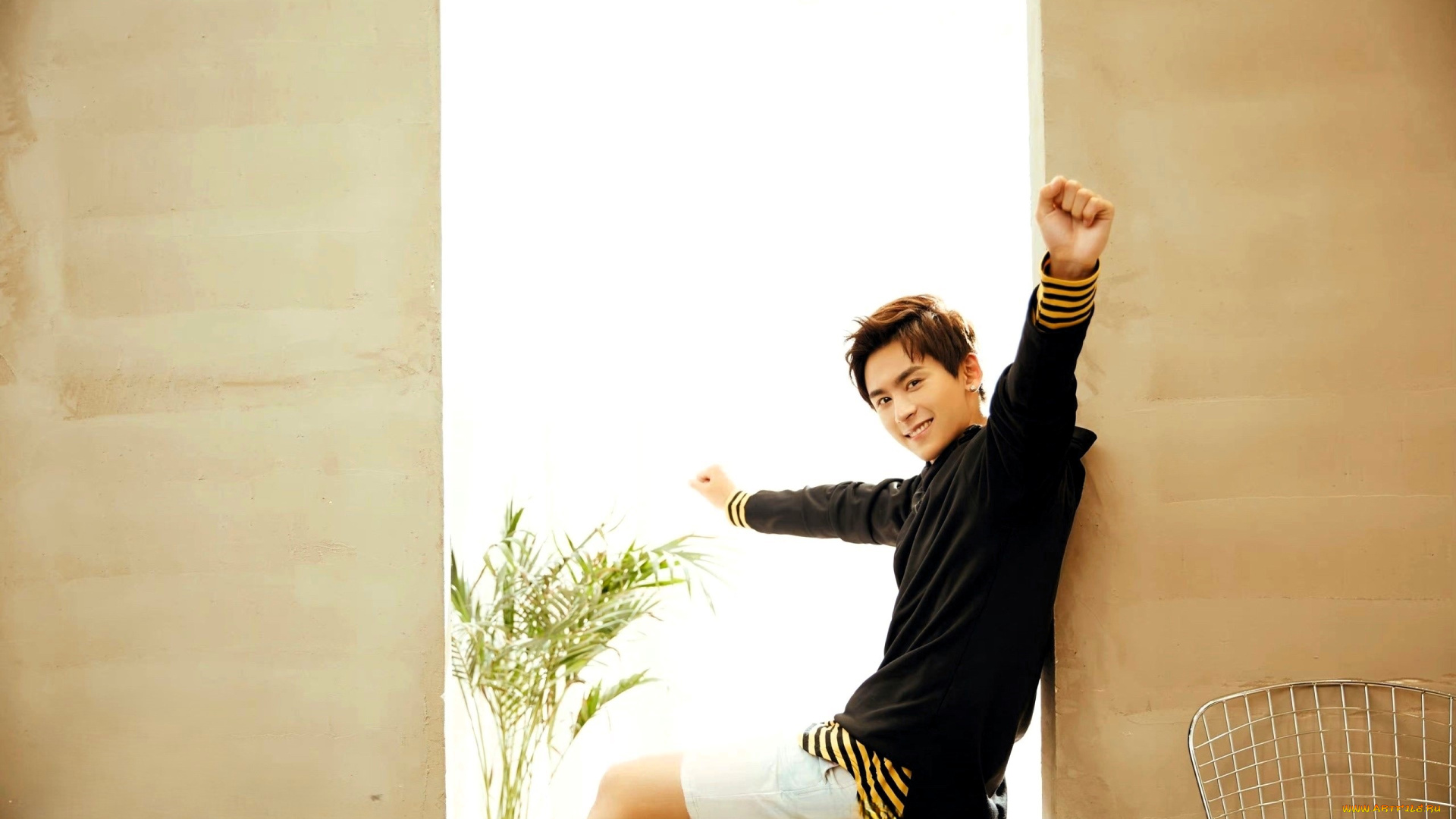 мужчины, zhang, zhehan, актер, свитер, окно, цветы