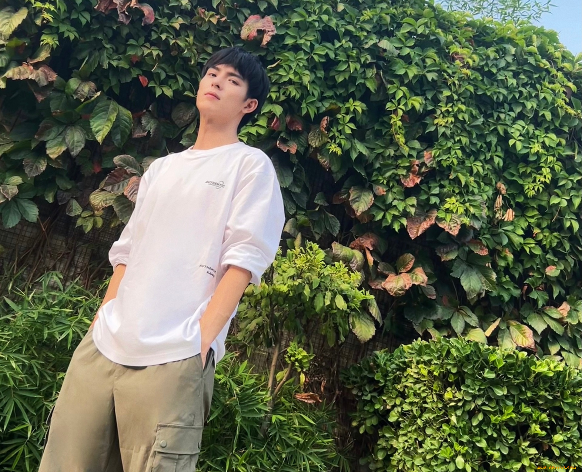 мужчины, wang, hao, xuan, ван, хао, сюань