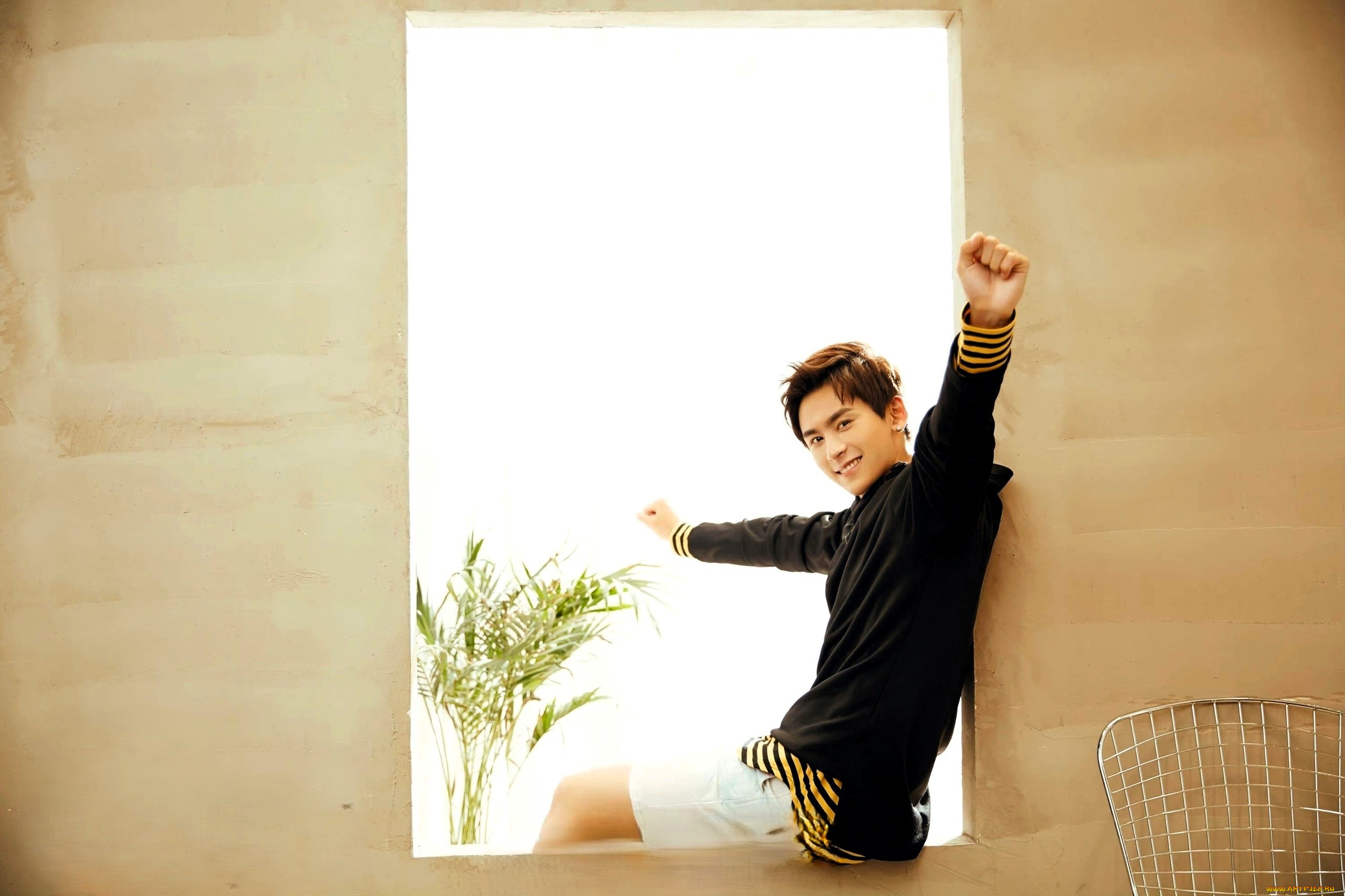 мужчины, zhang, zhehan, актер, свитер, окно, цветы