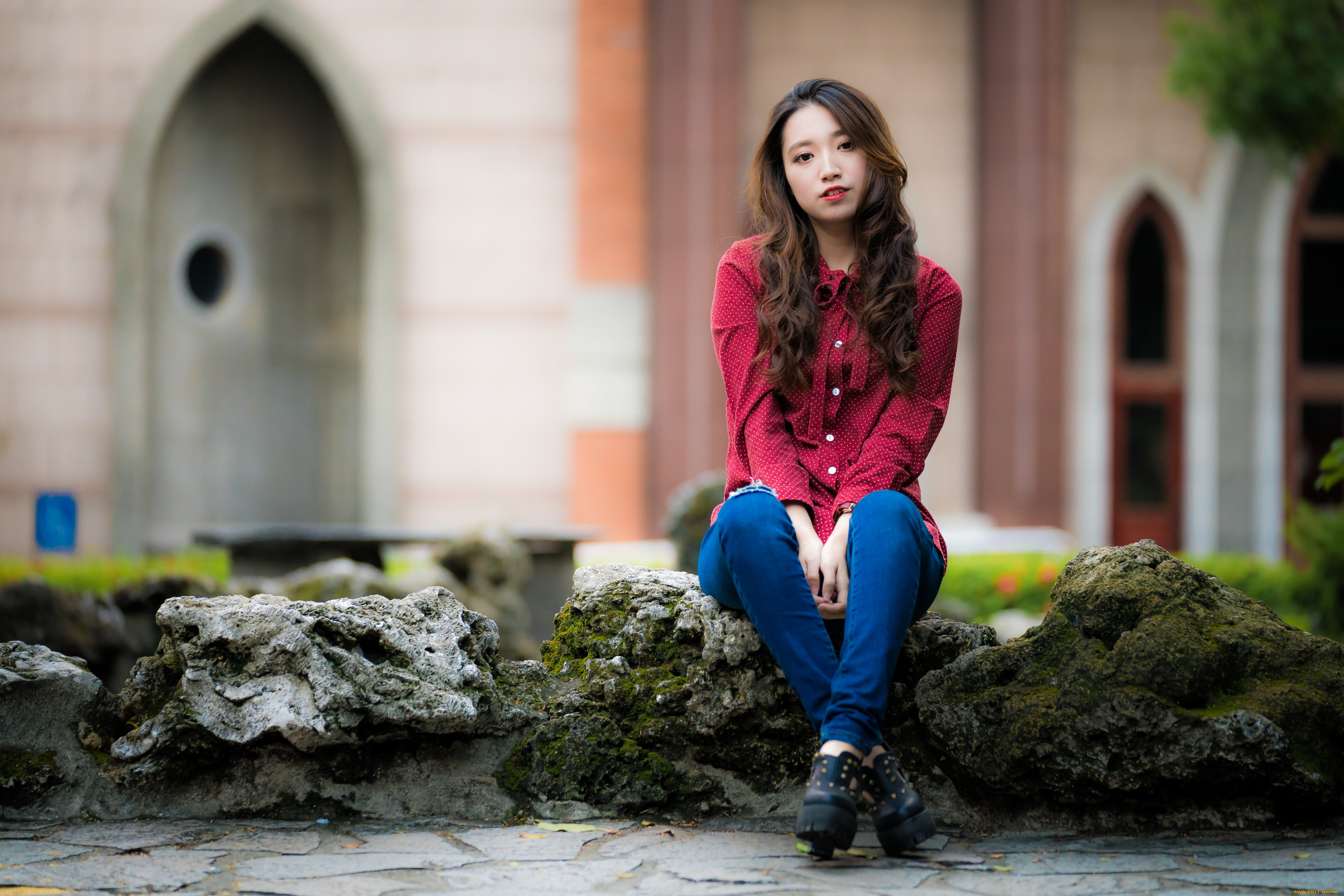 девушки, -, азиатки, девушка