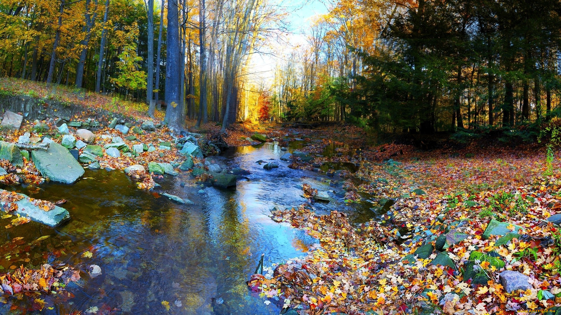 природа, реки, озера, лес, деревья, осень, листья, камни, речка