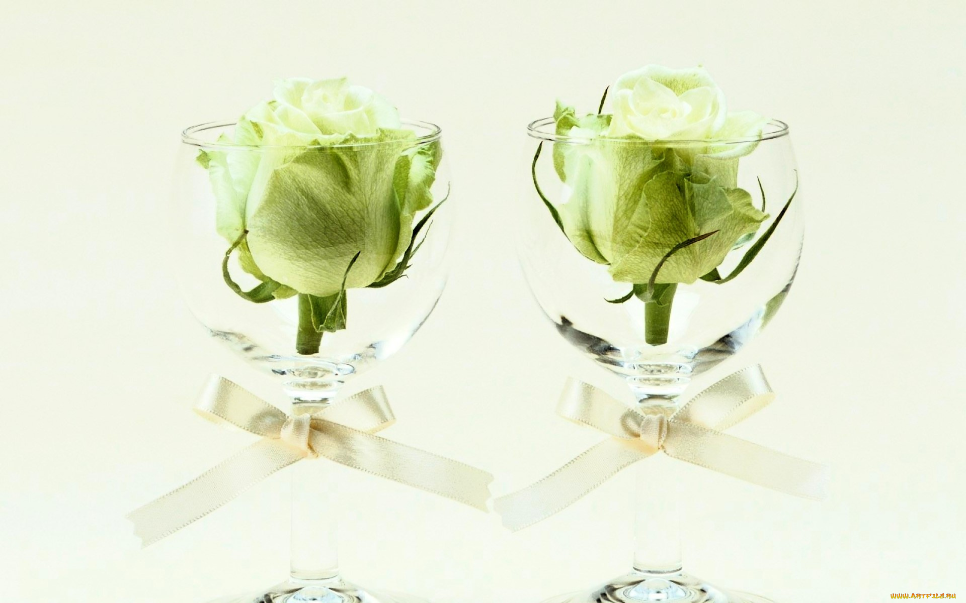 цветы, розы, бокалы, бантики