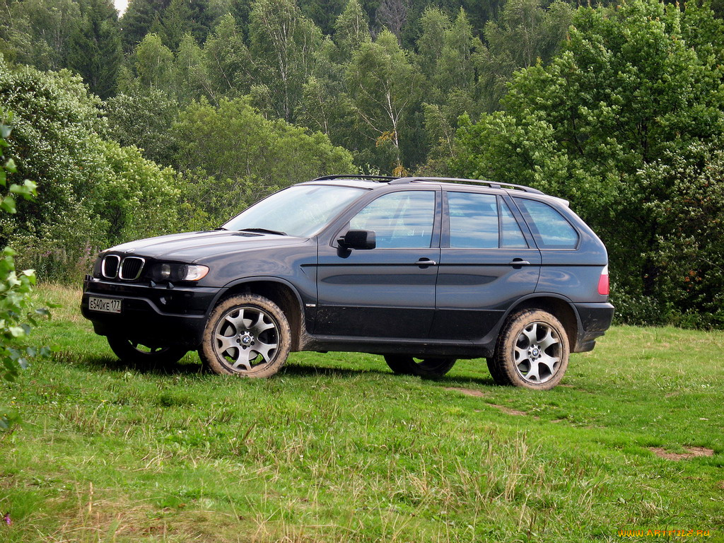 bmw, x5, автомобили
