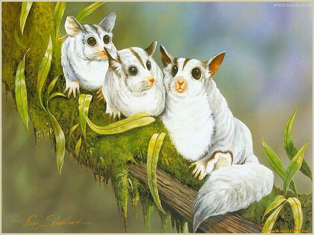 рисованные, животные