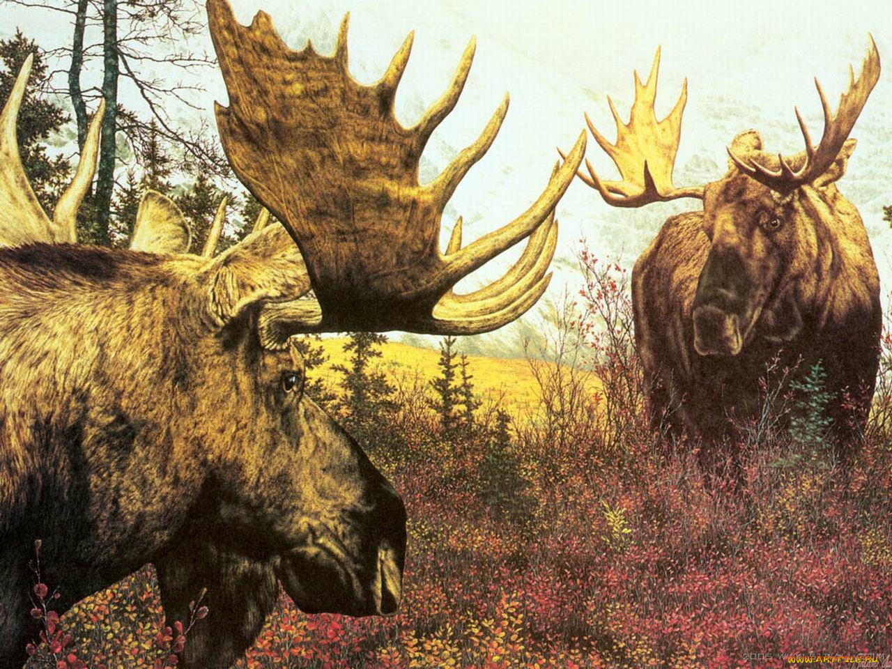 рисованные, животные, лоси